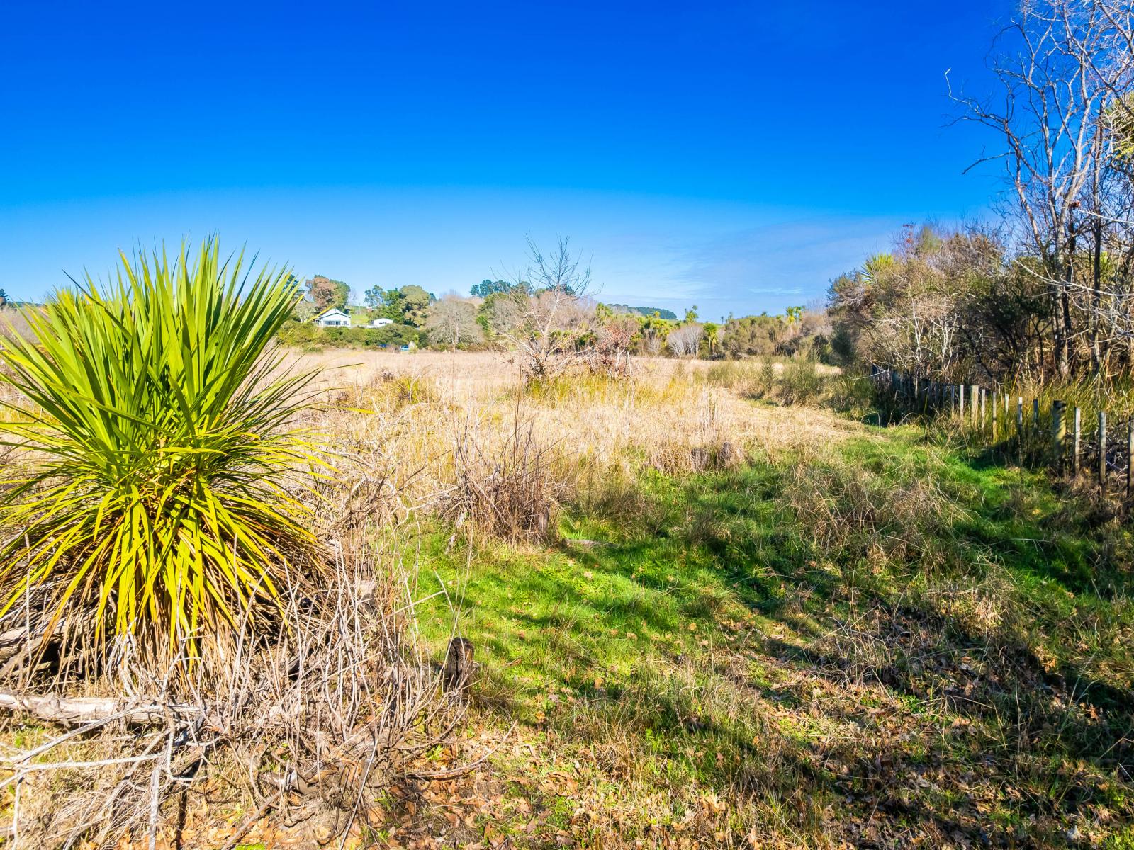 Rotowaro Road, Huntly