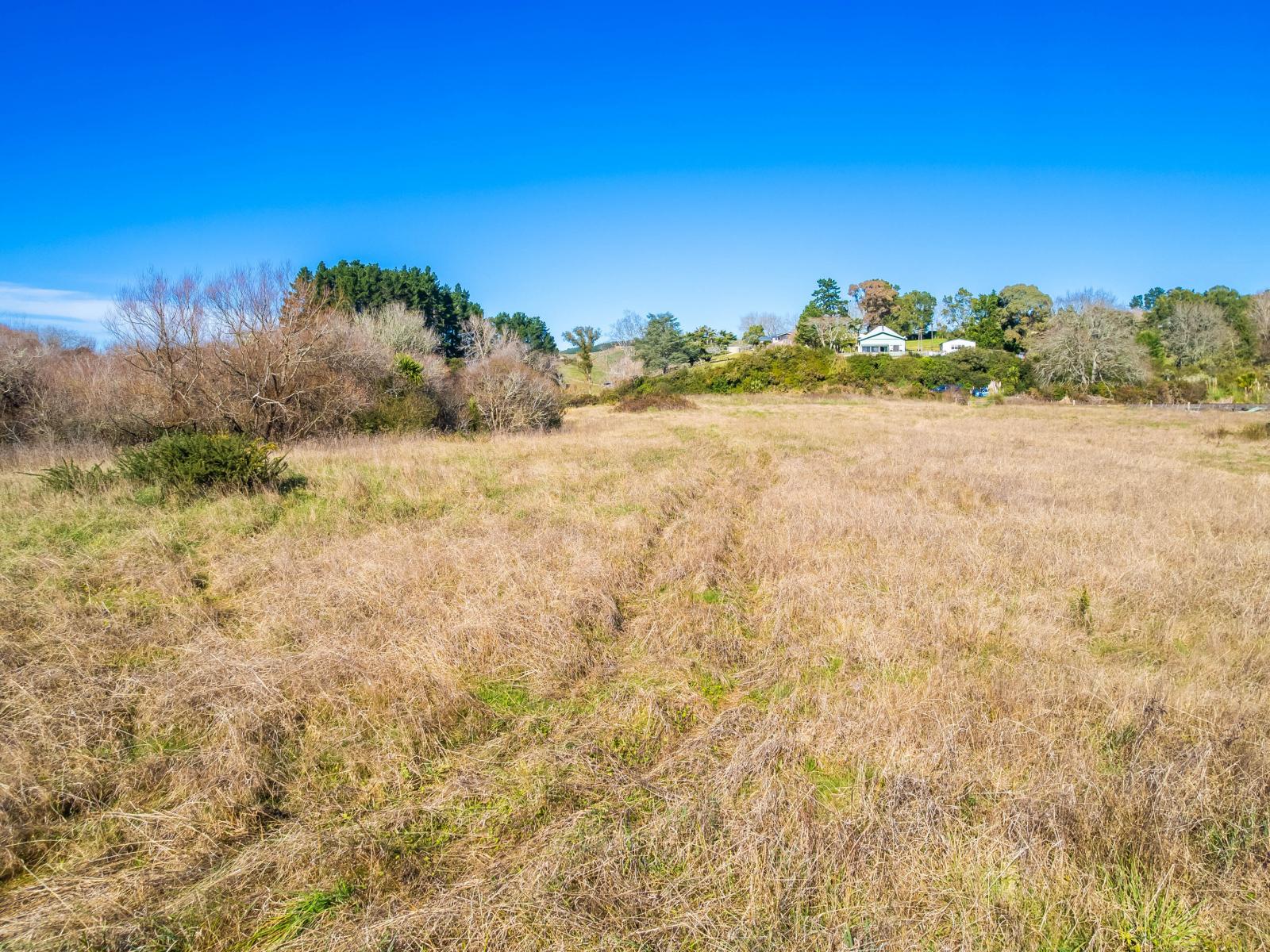 Rotowaro Road, Huntly