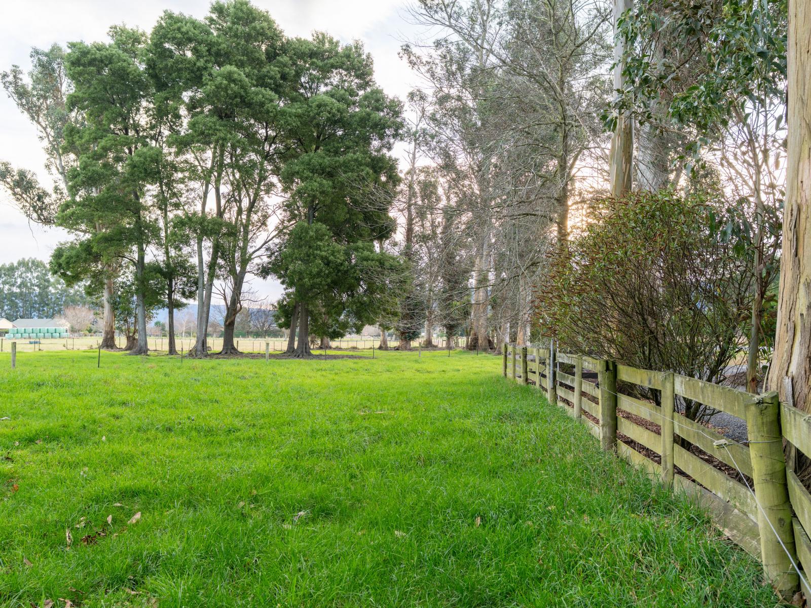 147 Outram-Mosgiel Road, Mosgiel