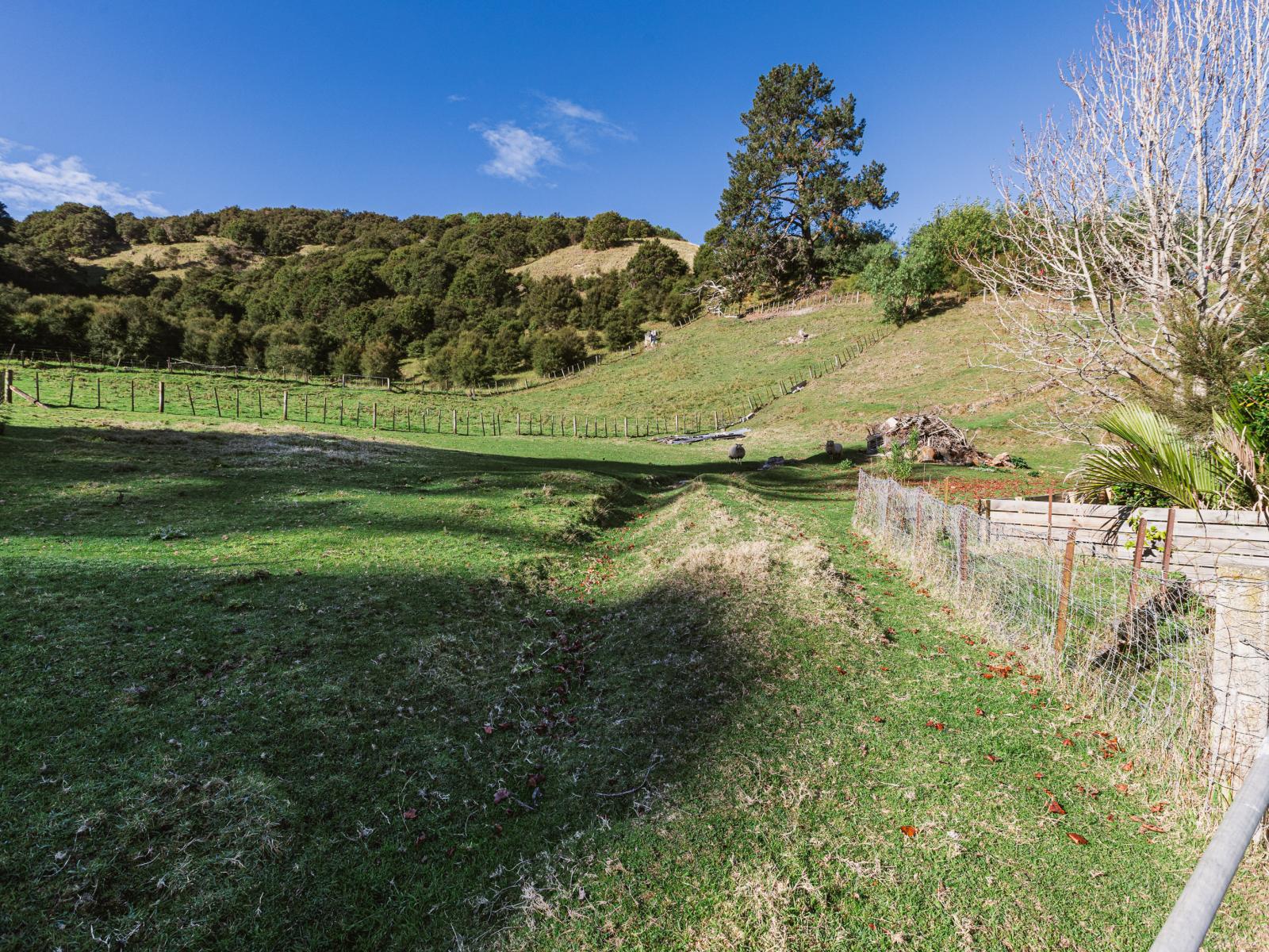 164 Hill Road, Eskdale
