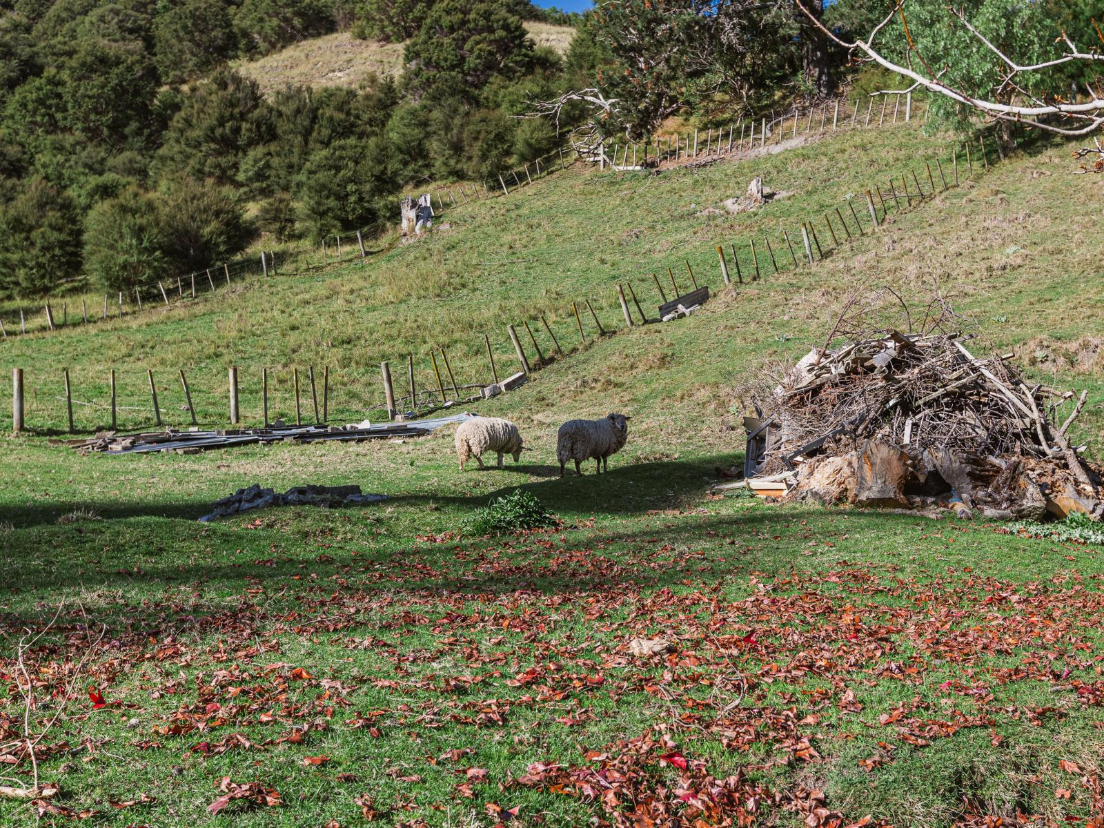 164 Hill Road, Eskdale