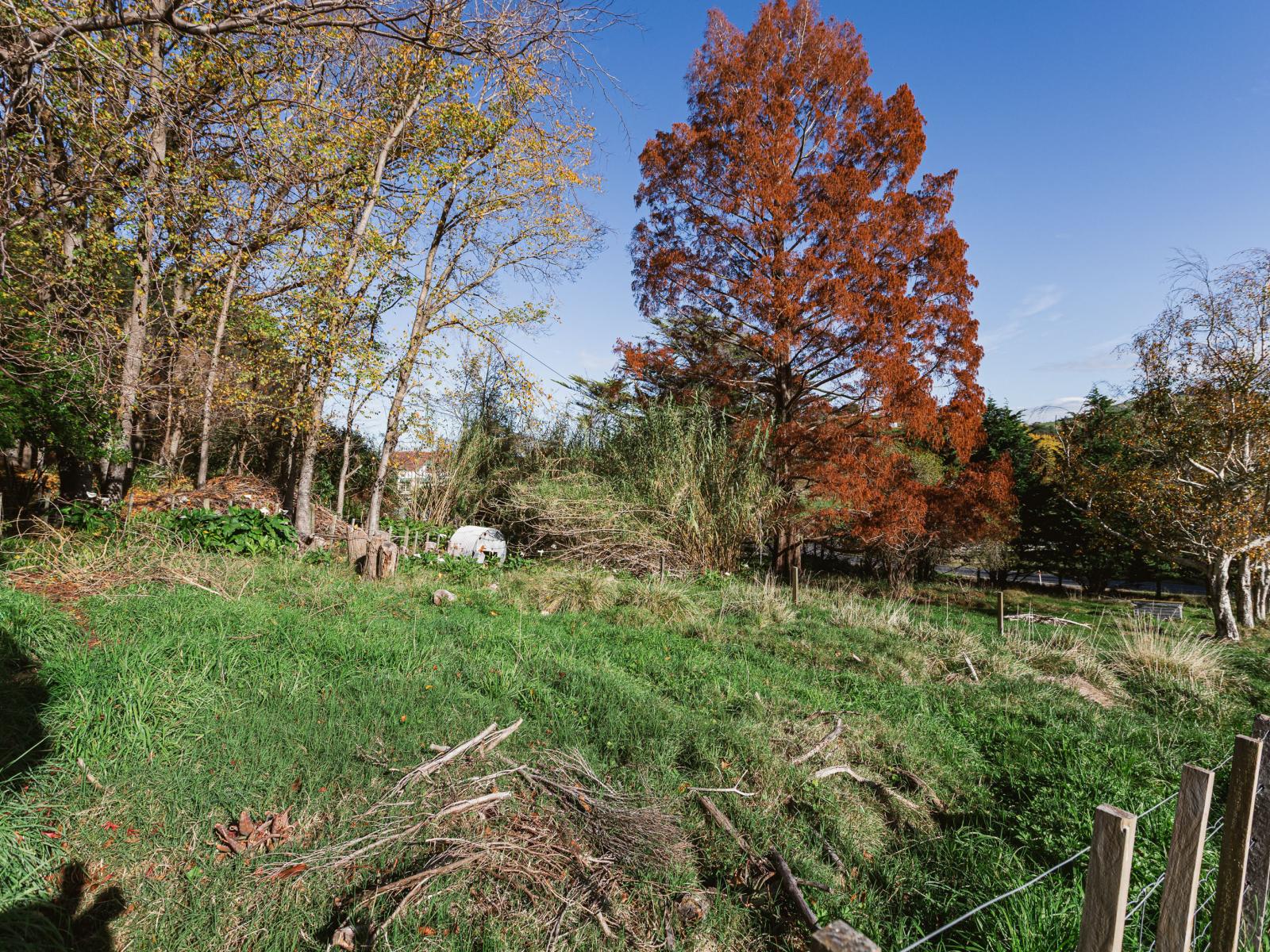 164 Hill Road, Eskdale