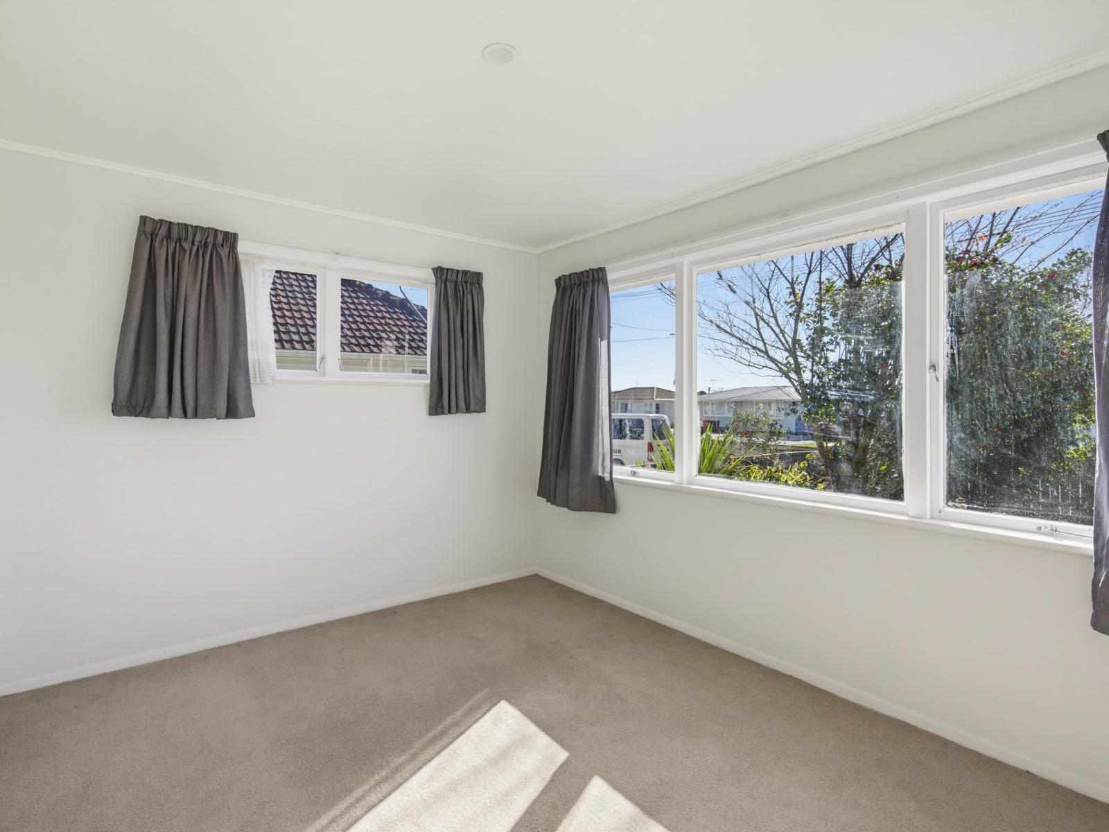58 Power Street, Levin