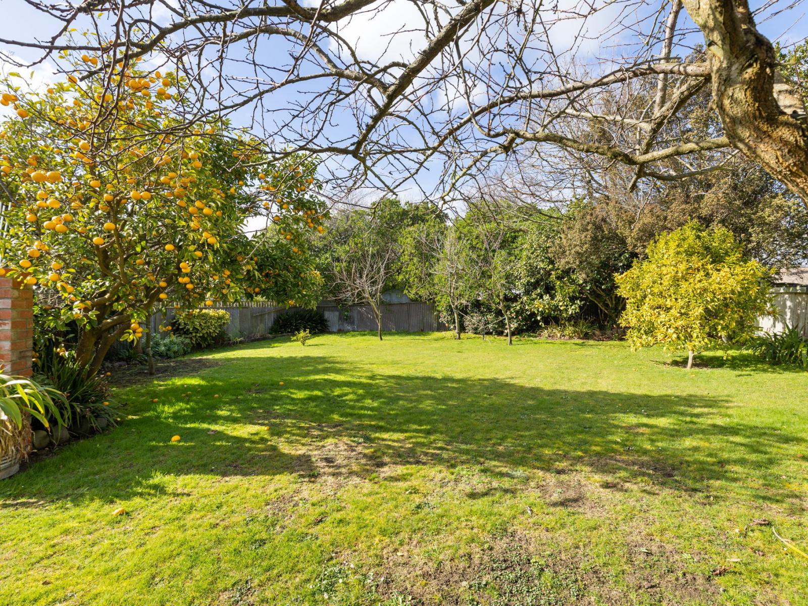 18 Daniell Street, Bulls