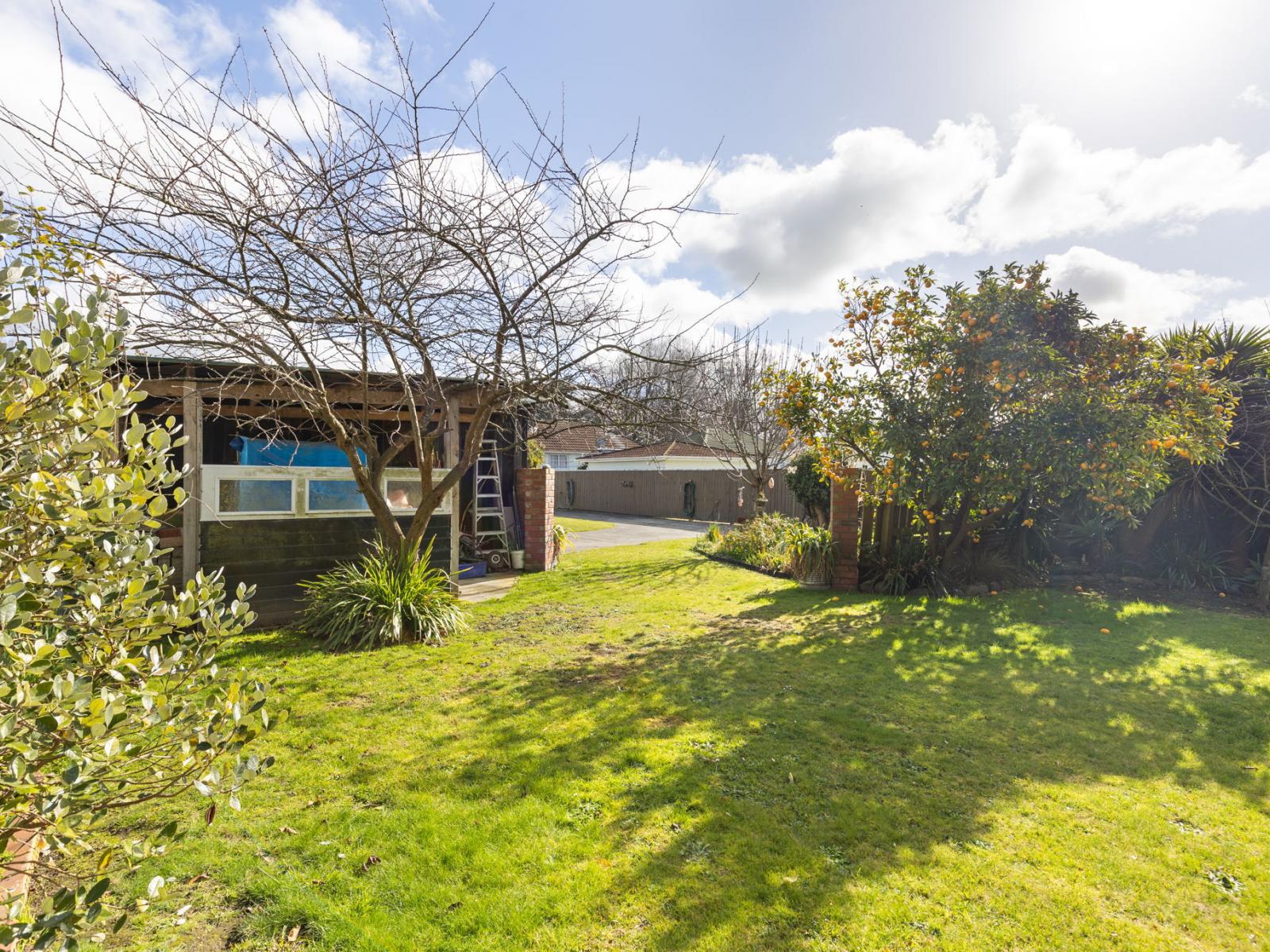 18 Daniell Street, Bulls