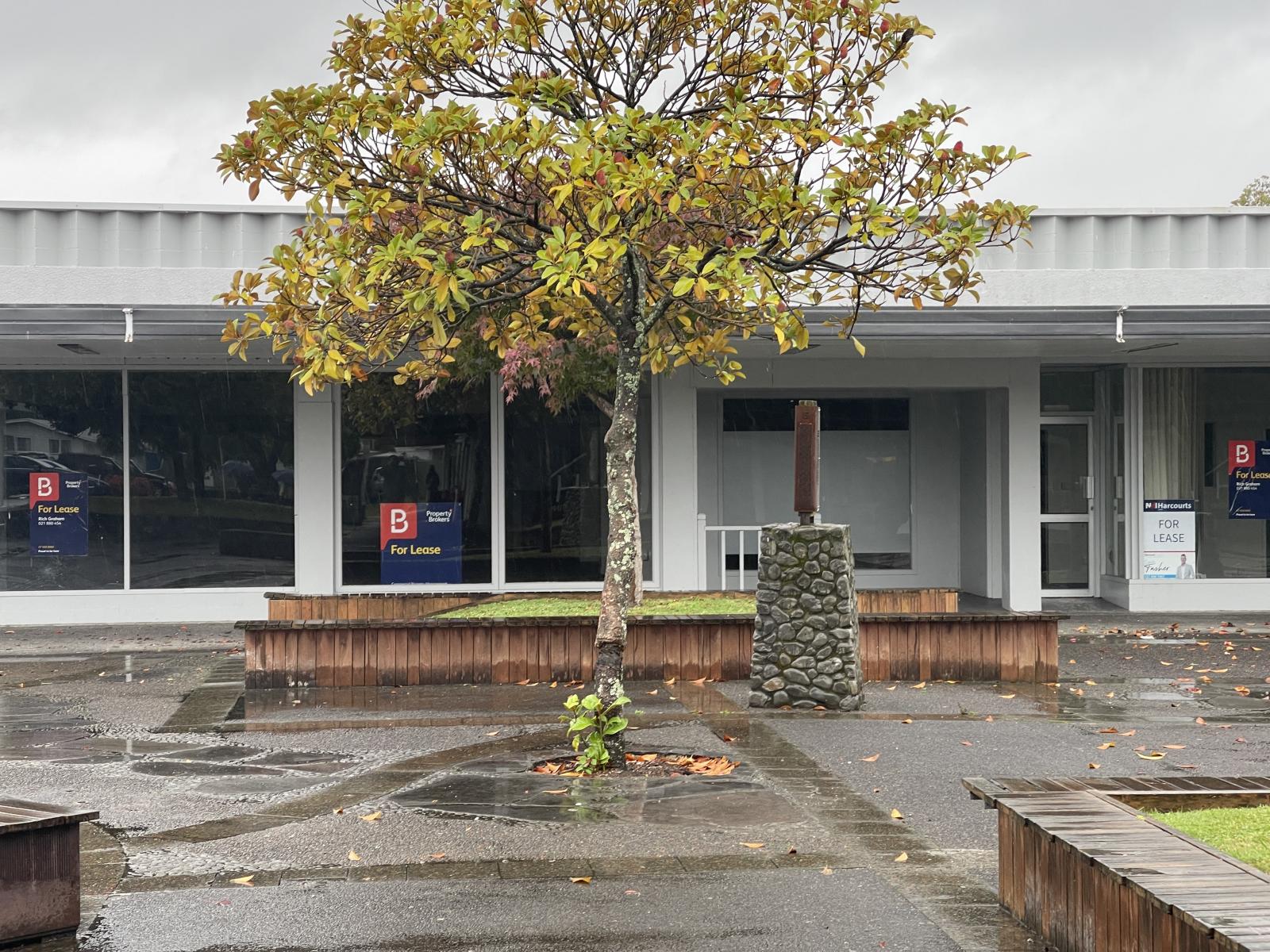 Turangi