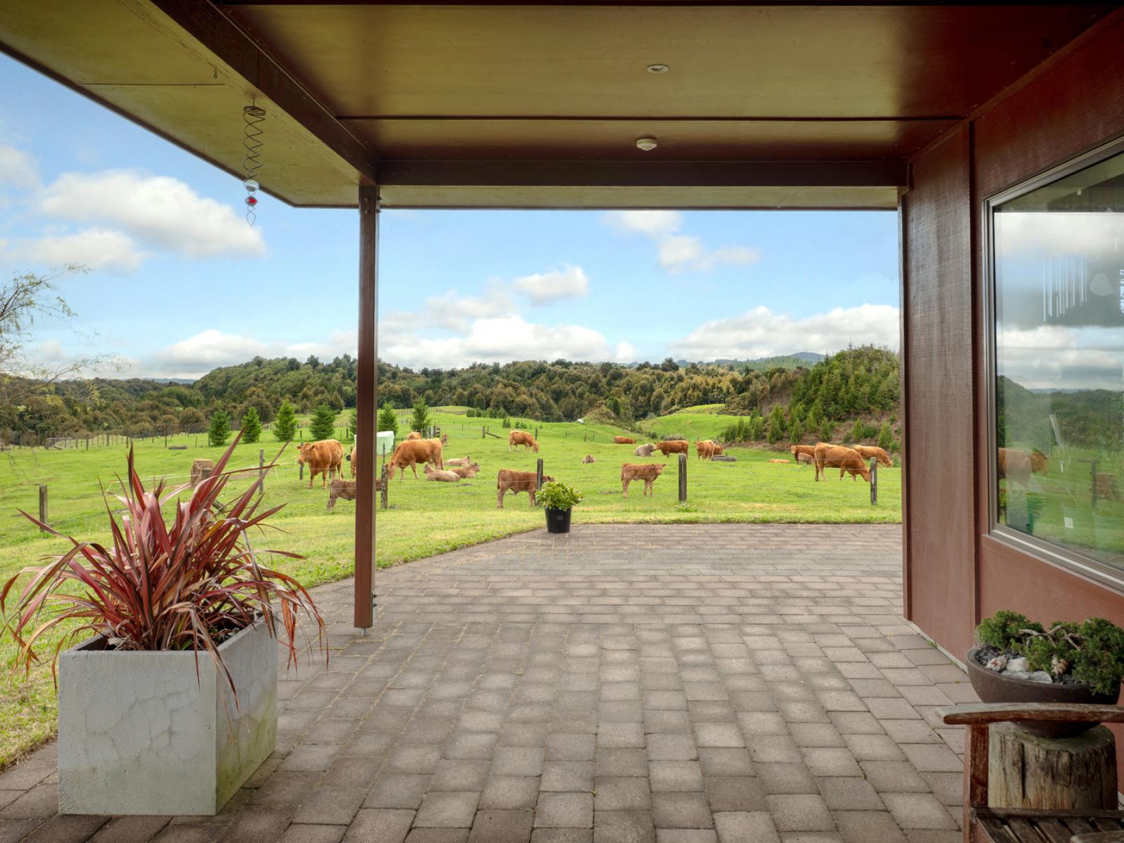 49C Olds Road, Ngongotaha Valley