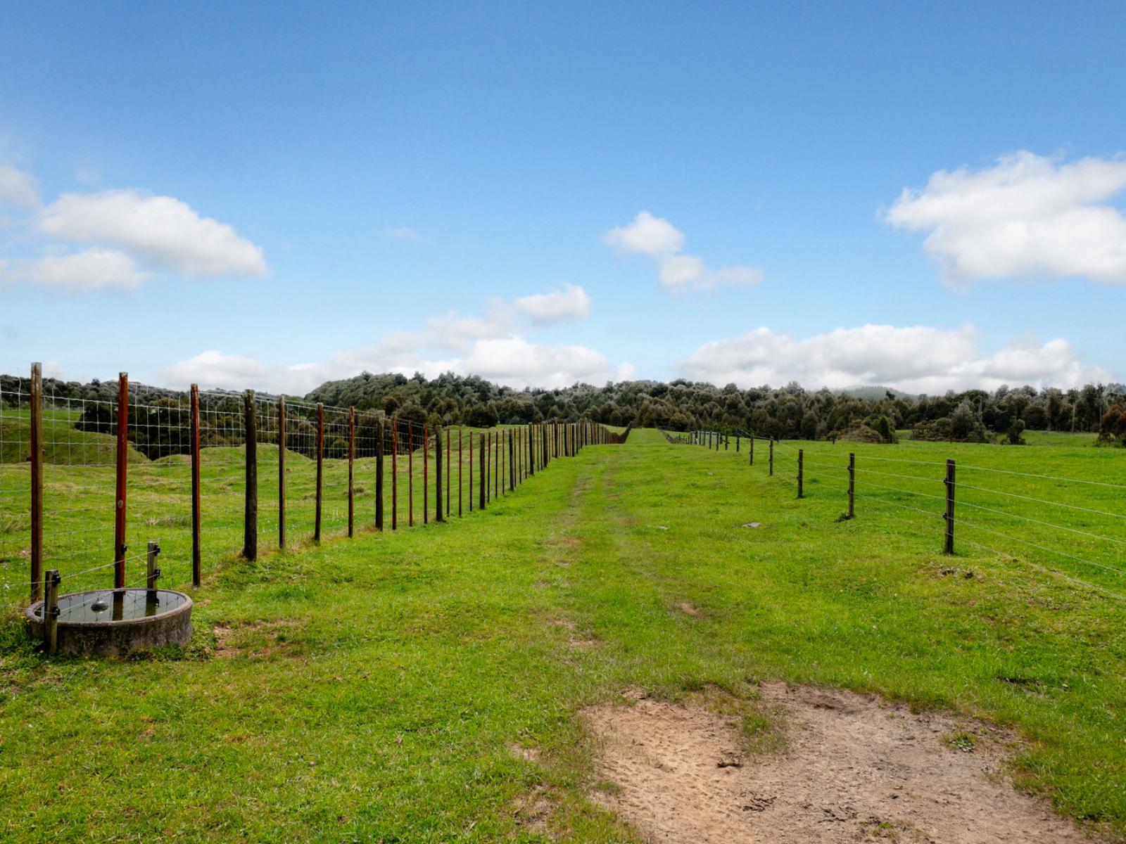 49C Olds Road, Ngongotaha Valley