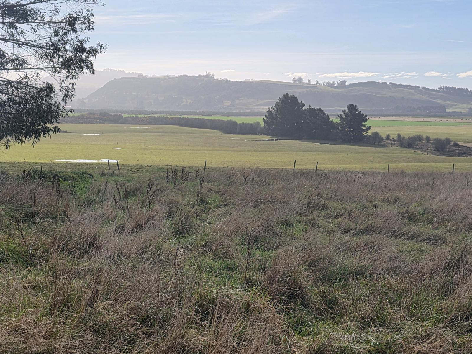 74 Frame Road, Waianakarua