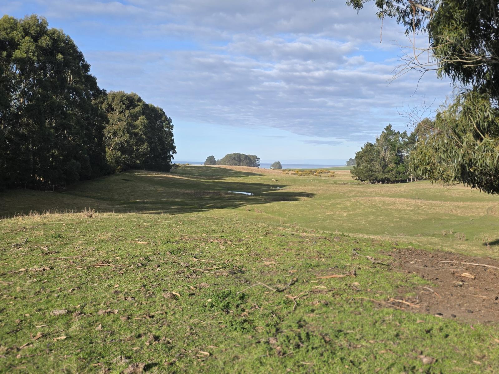 74 Frame Road, Waianakarua