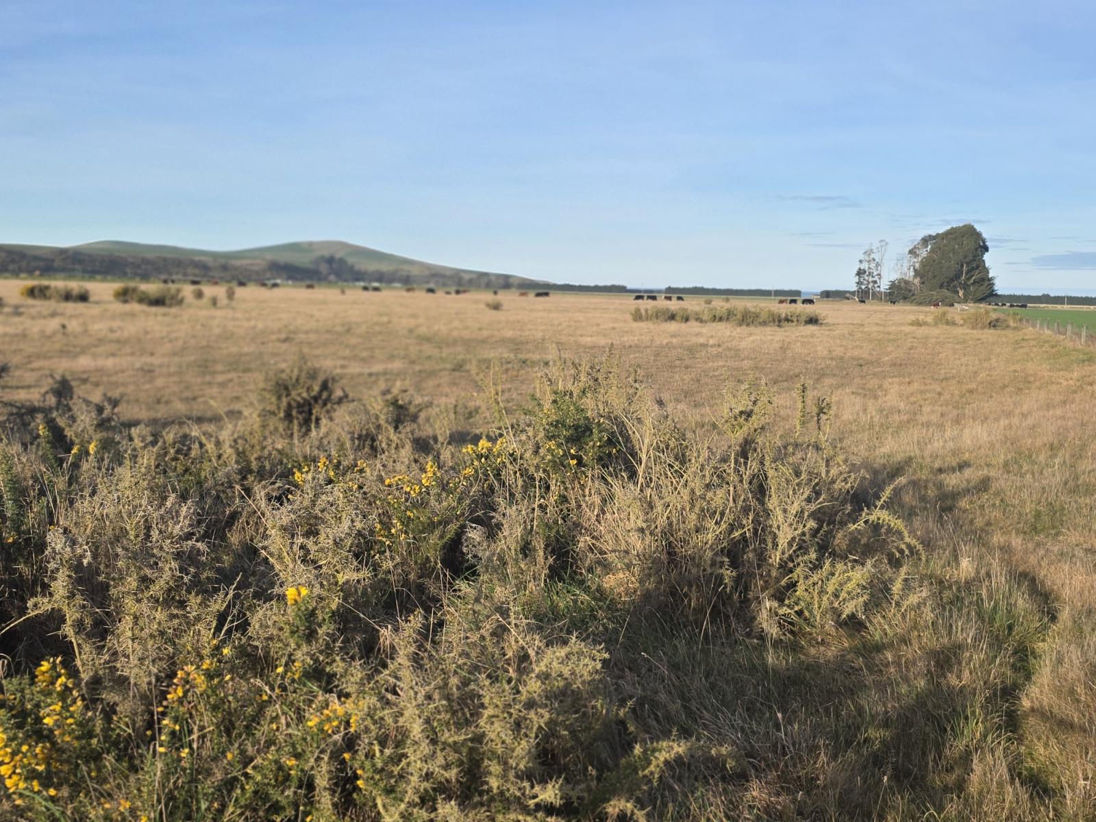 74 Frame Road, Waianakarua