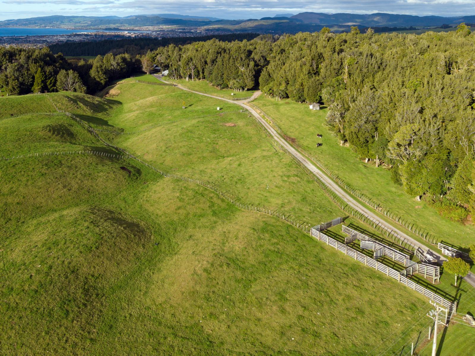73 Te Manu Road, Ngongotaha Valley
