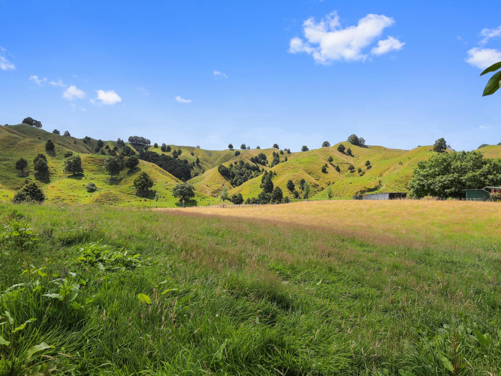 74 Mania Road, Taumarunui