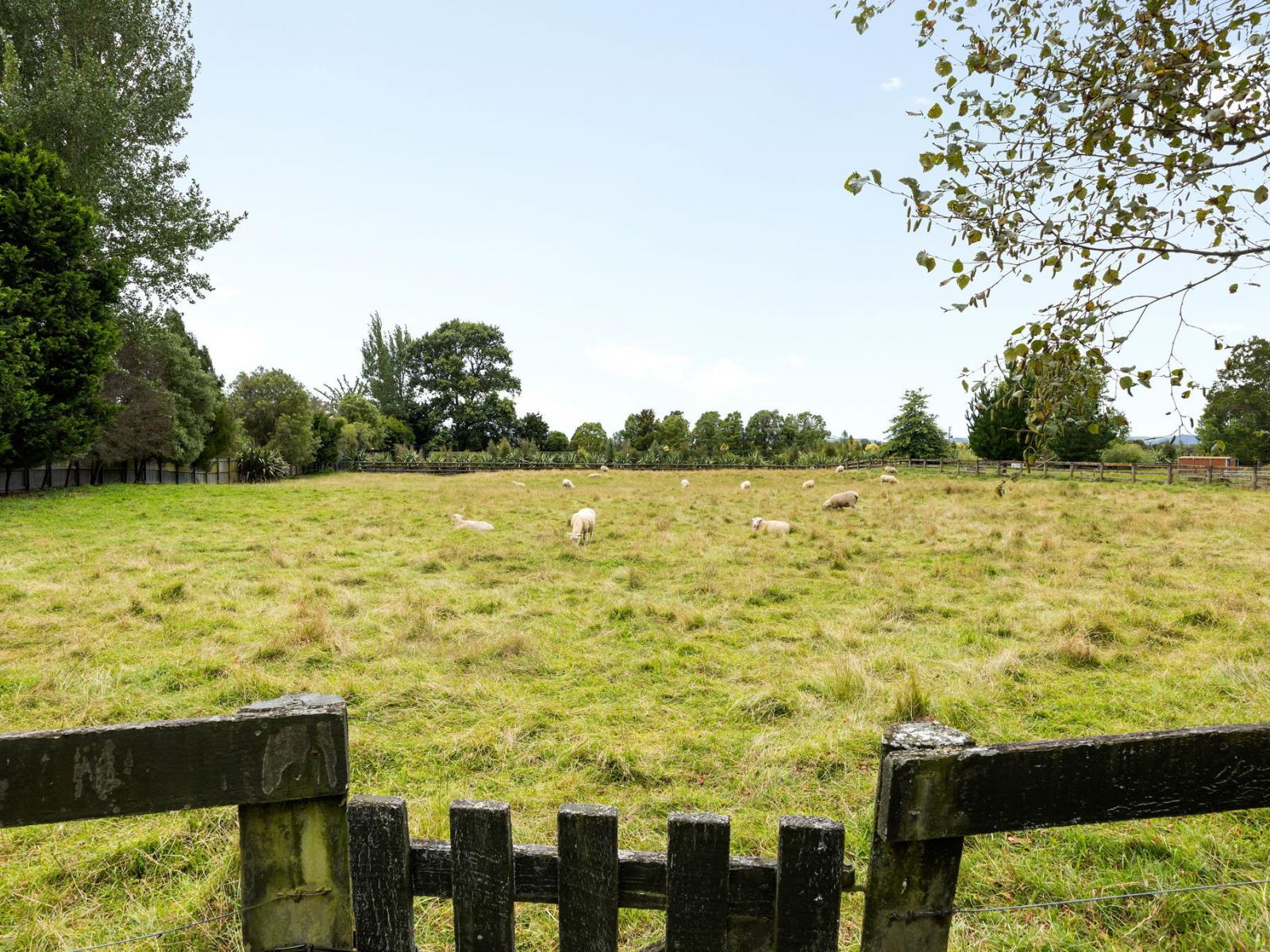 104b Duncan Road, Tamahere