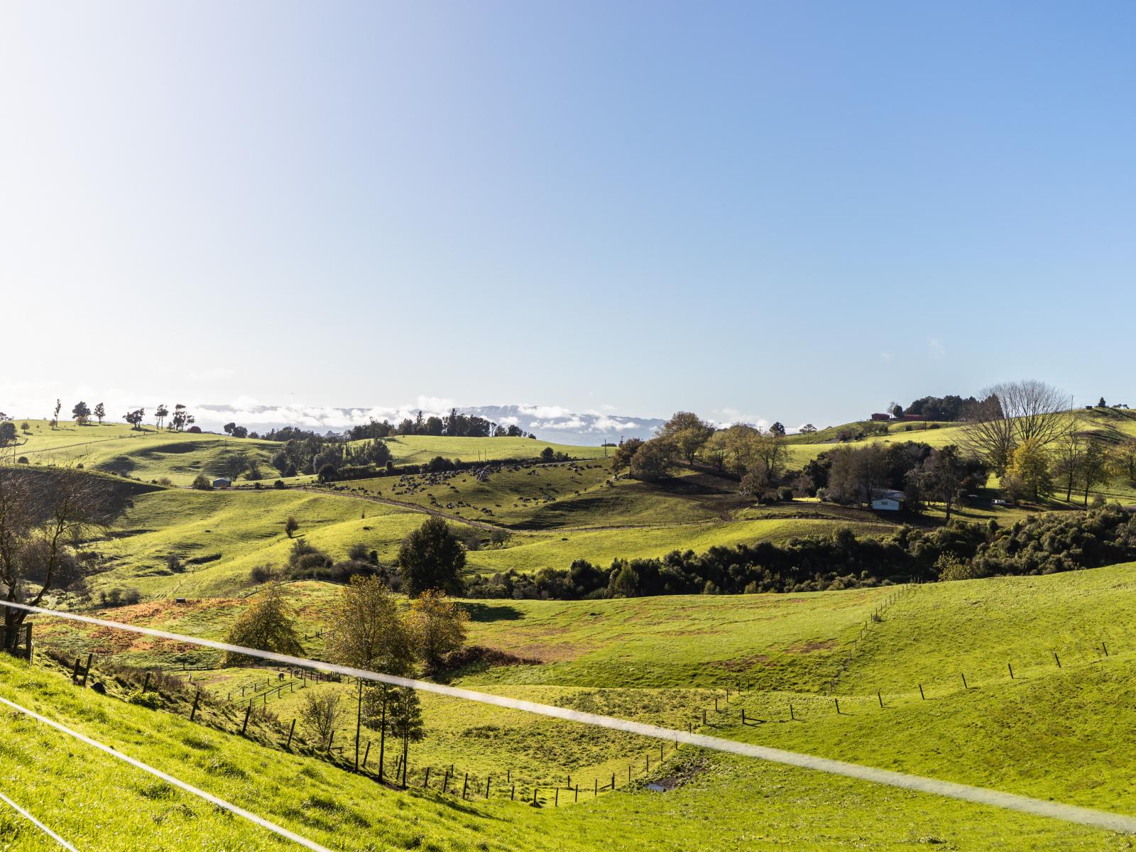 6/957 Taotaoroa Road, Karapiro