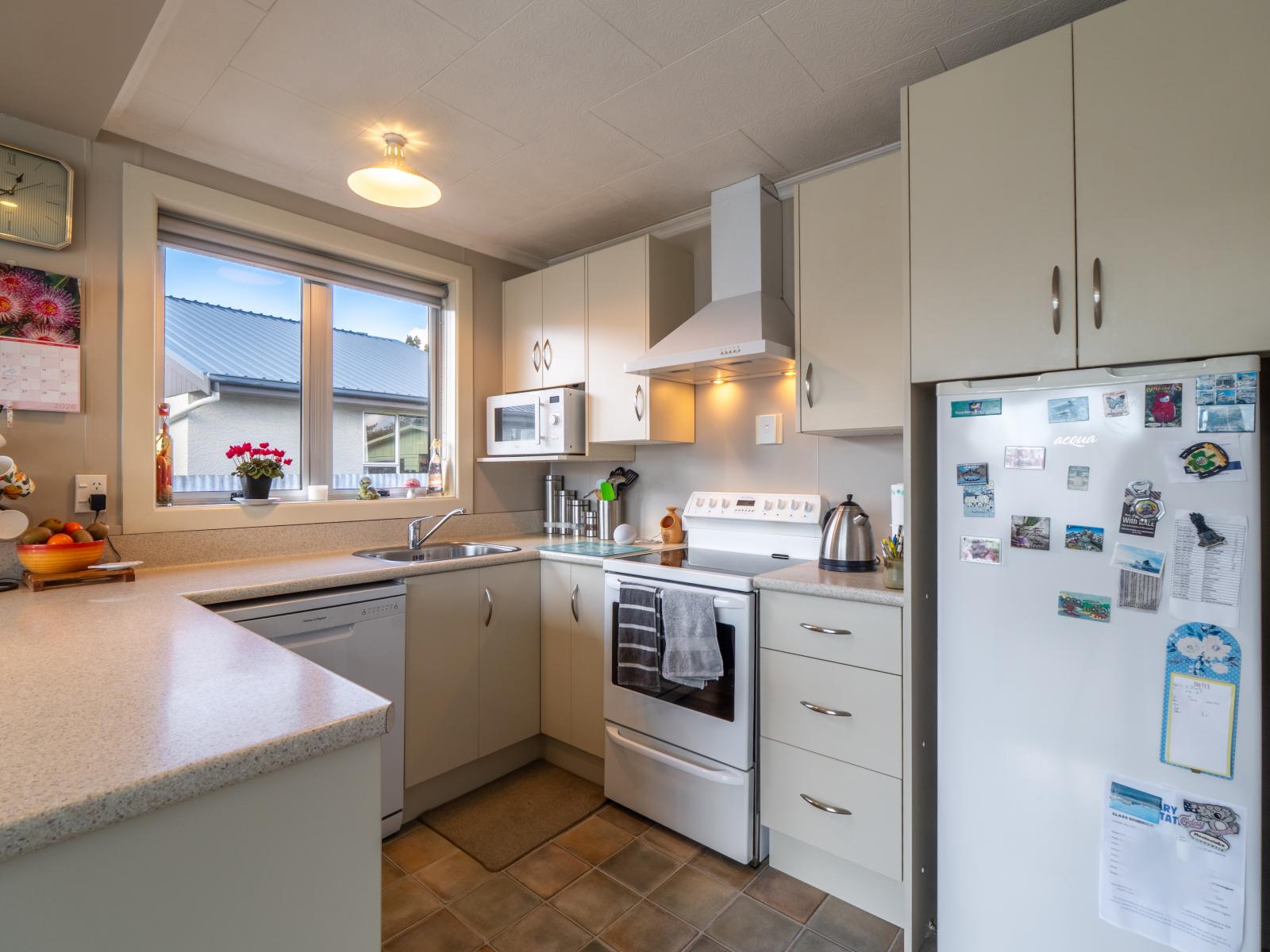 19 Holloway Street, Waikiwi