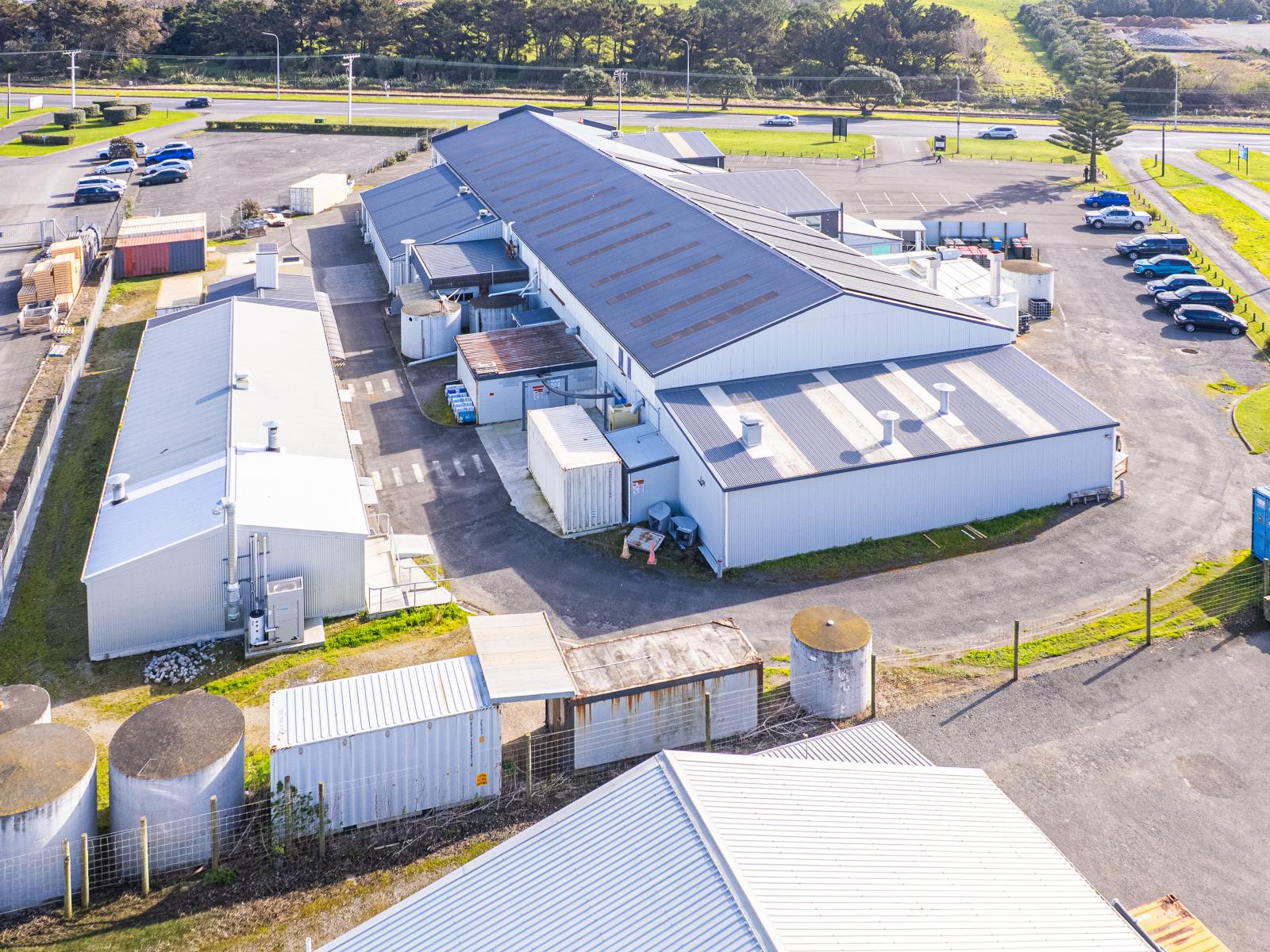 315 Heads Road, Castlecliff