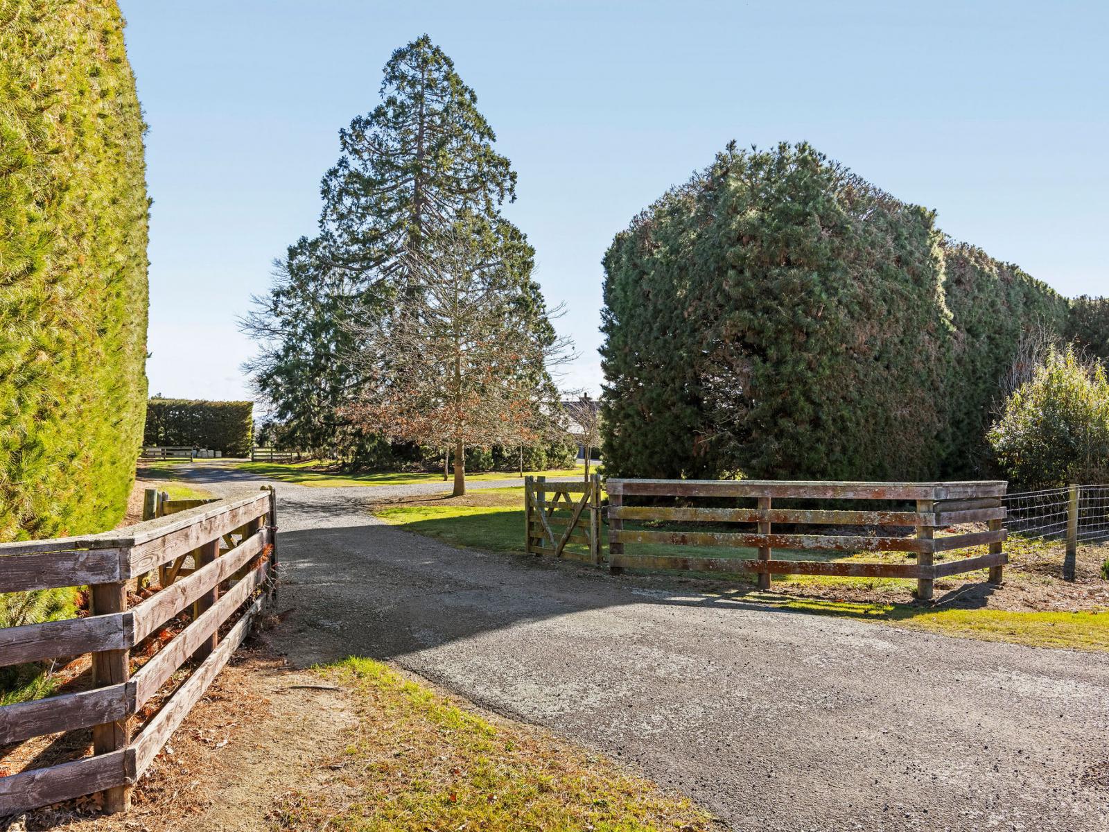239 Earlys Road, West Eyreton