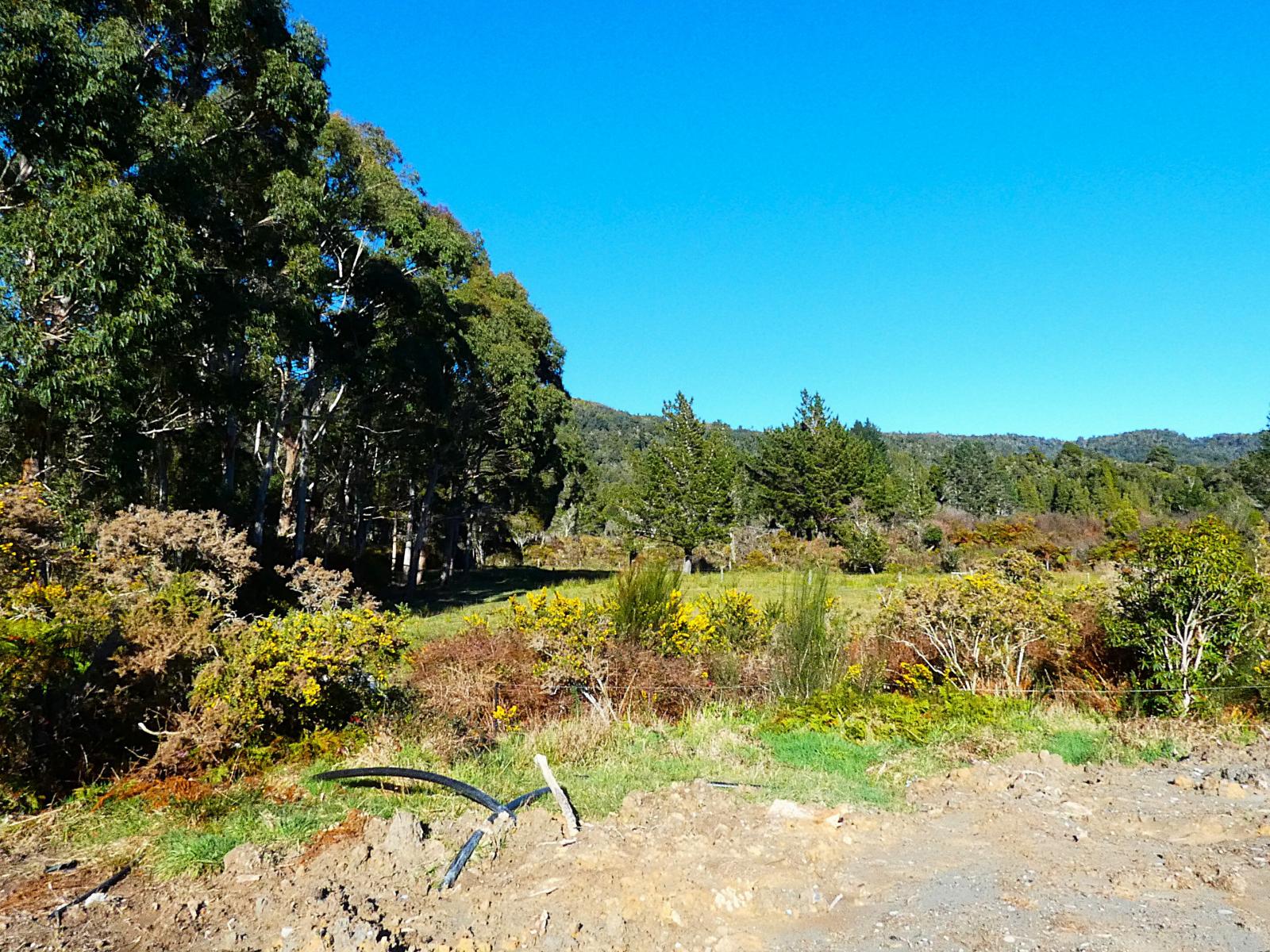 96 Gladstone Street, Seddonville