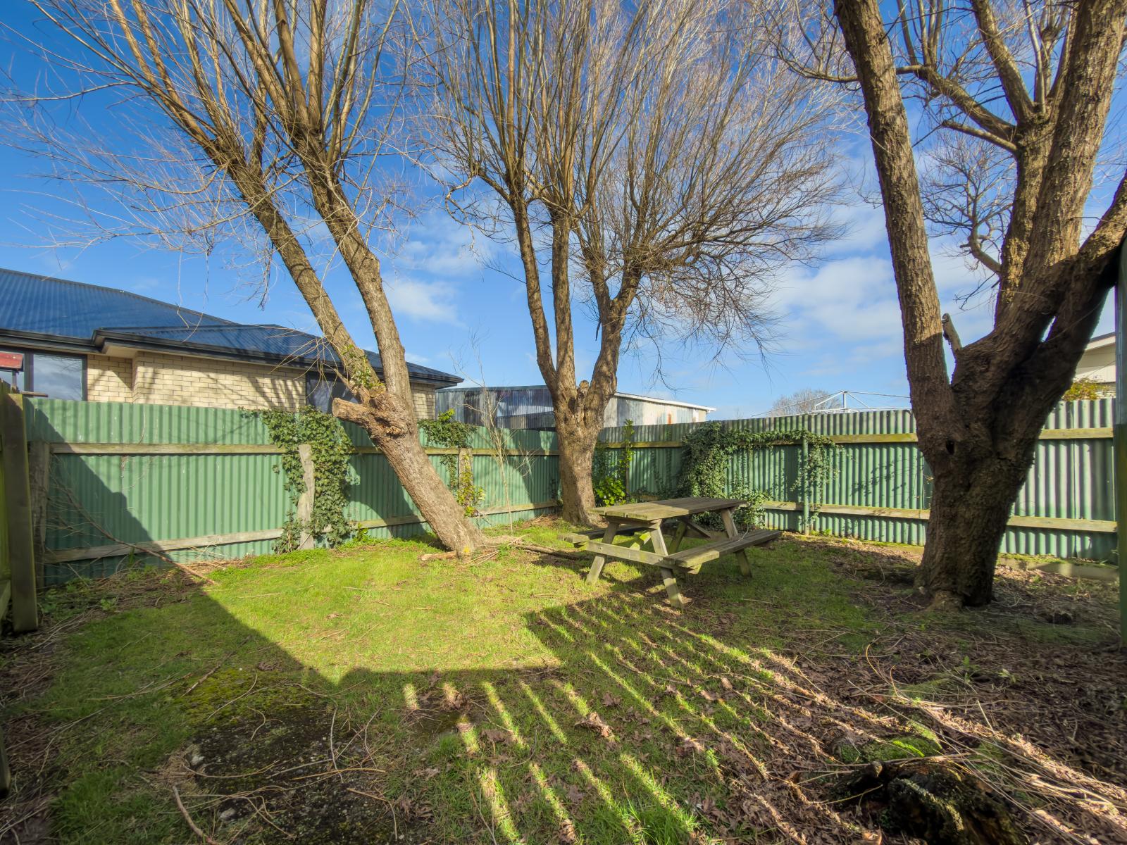 59 Wilfrid Street, Newfield