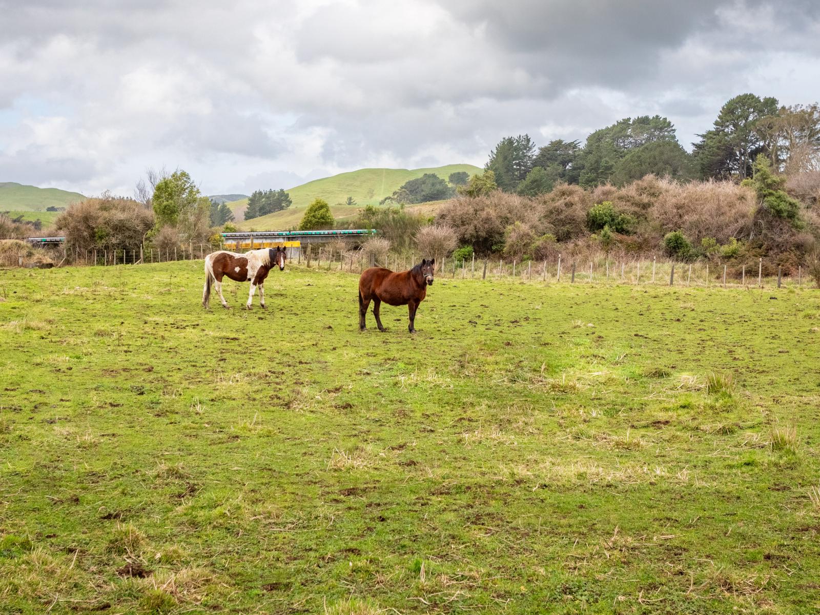 100 Newman Road, Eketahuna