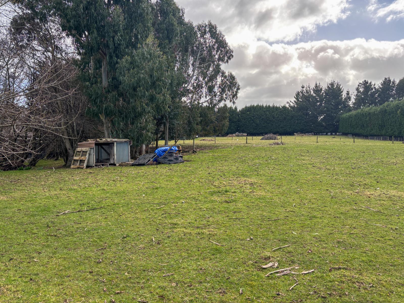 452 McQuarrie Street, Tisbury