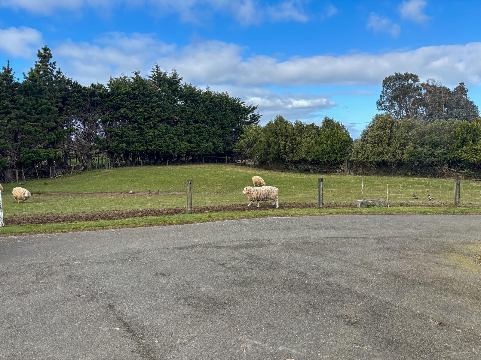 452 McQuarrie Street, Tisbury