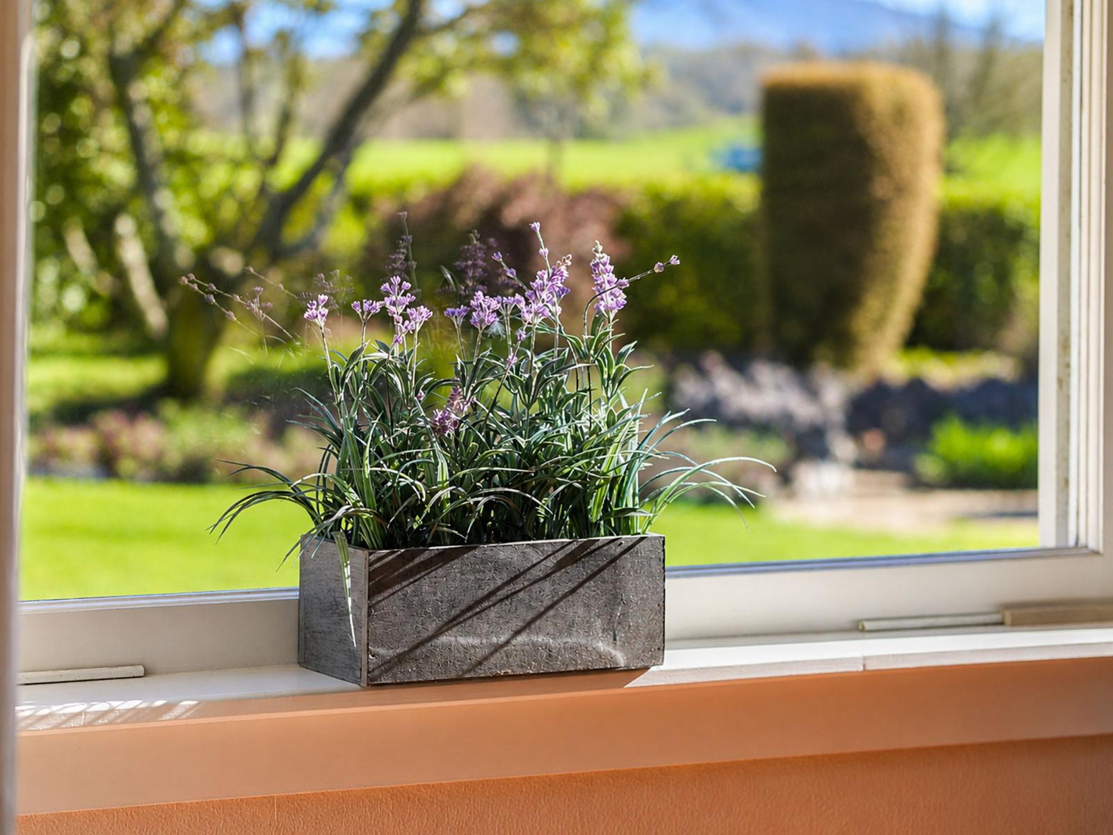 6 Glasson Road, Te Awamutu