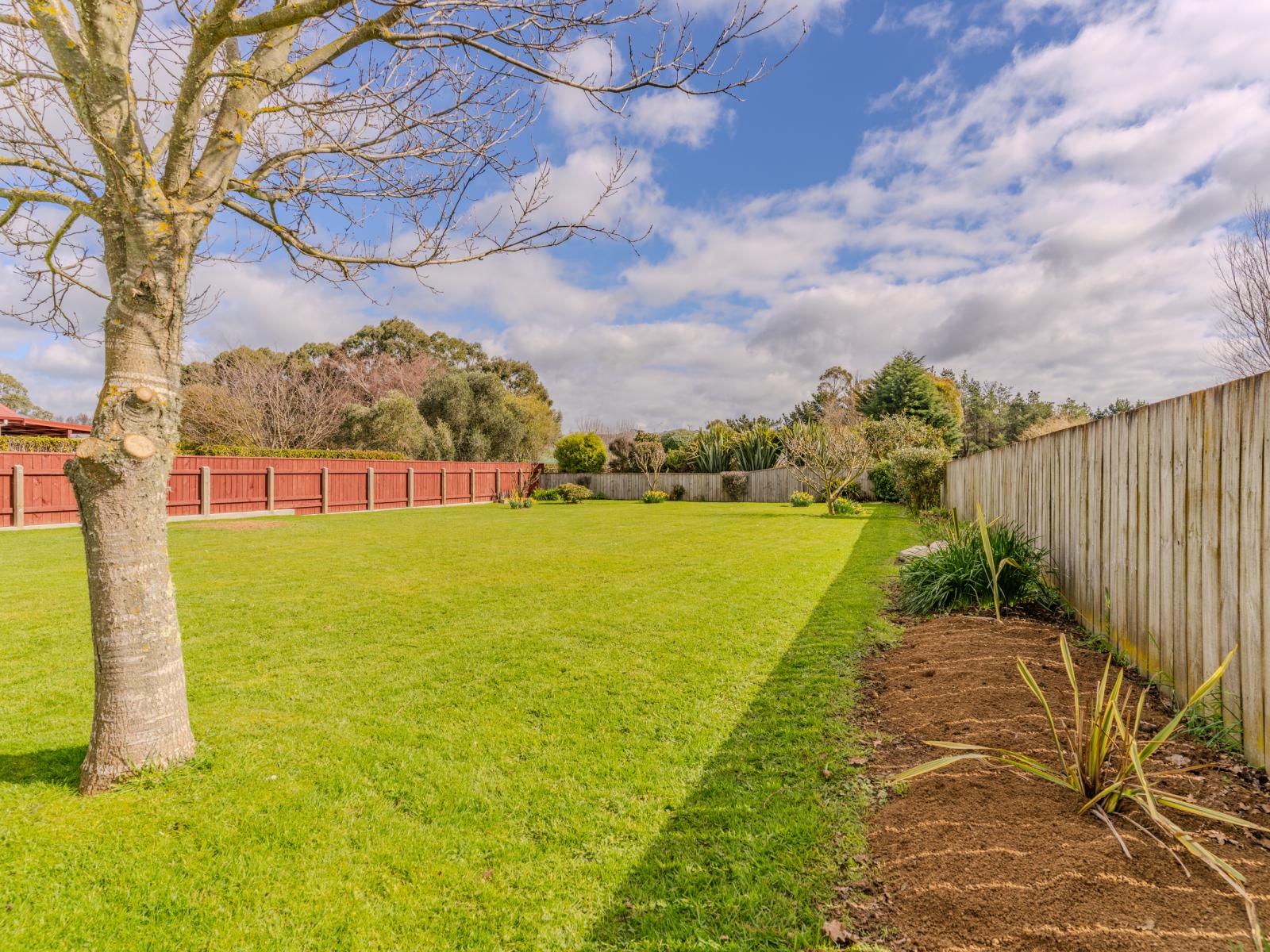 113A Fergusson Street, Woodville