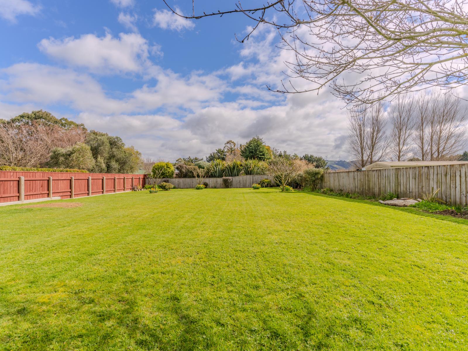 113A Fergusson Street, Woodville