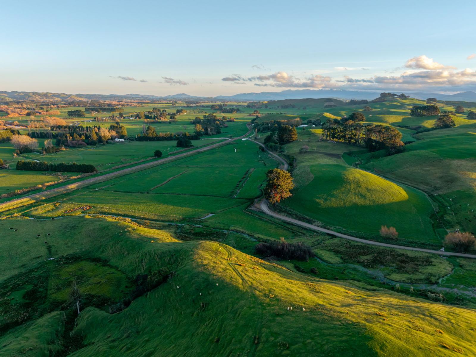Lot 1 Bridge Road, Pahiatua