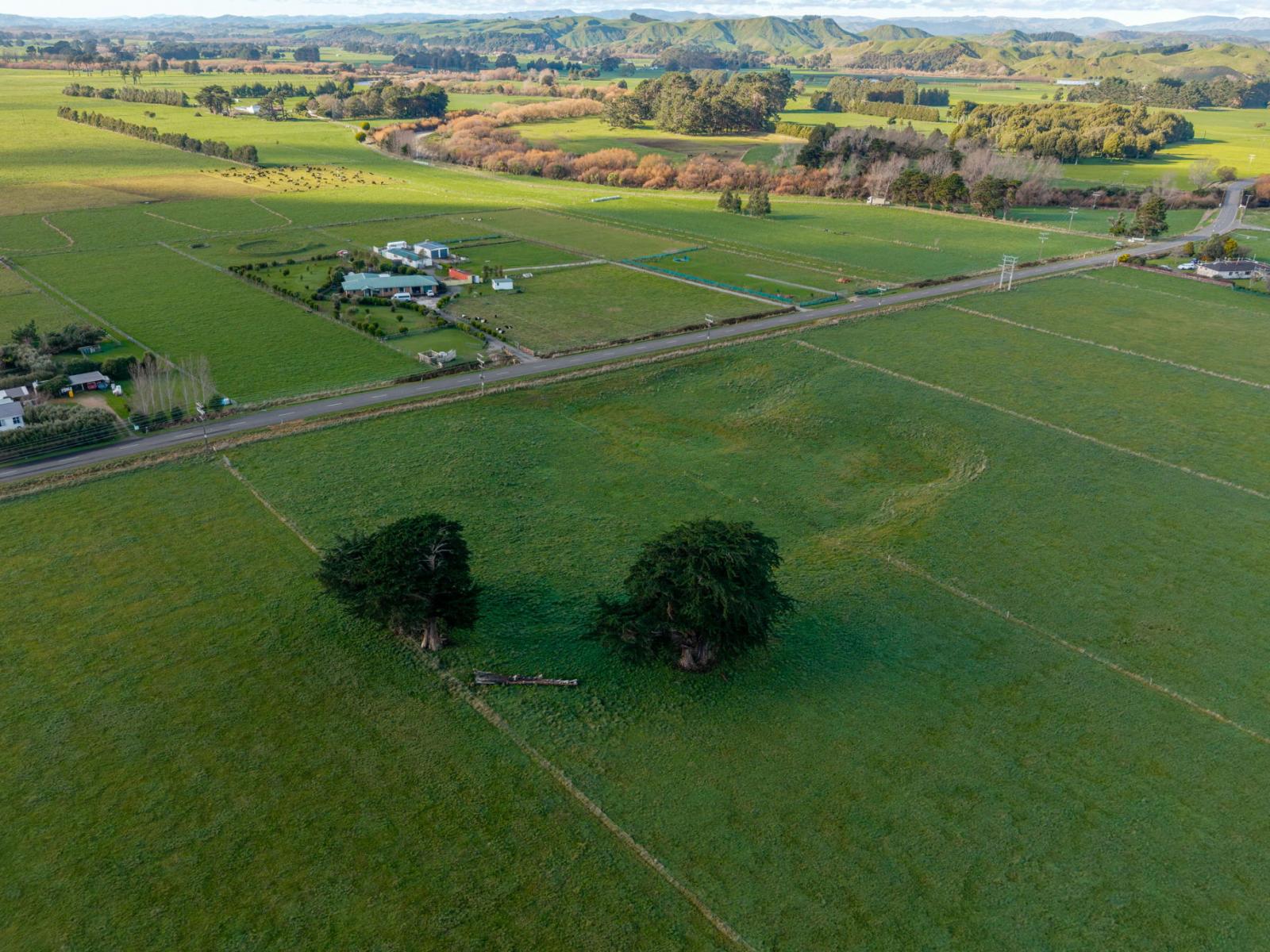 Tutaekara Road, Pahiatua
