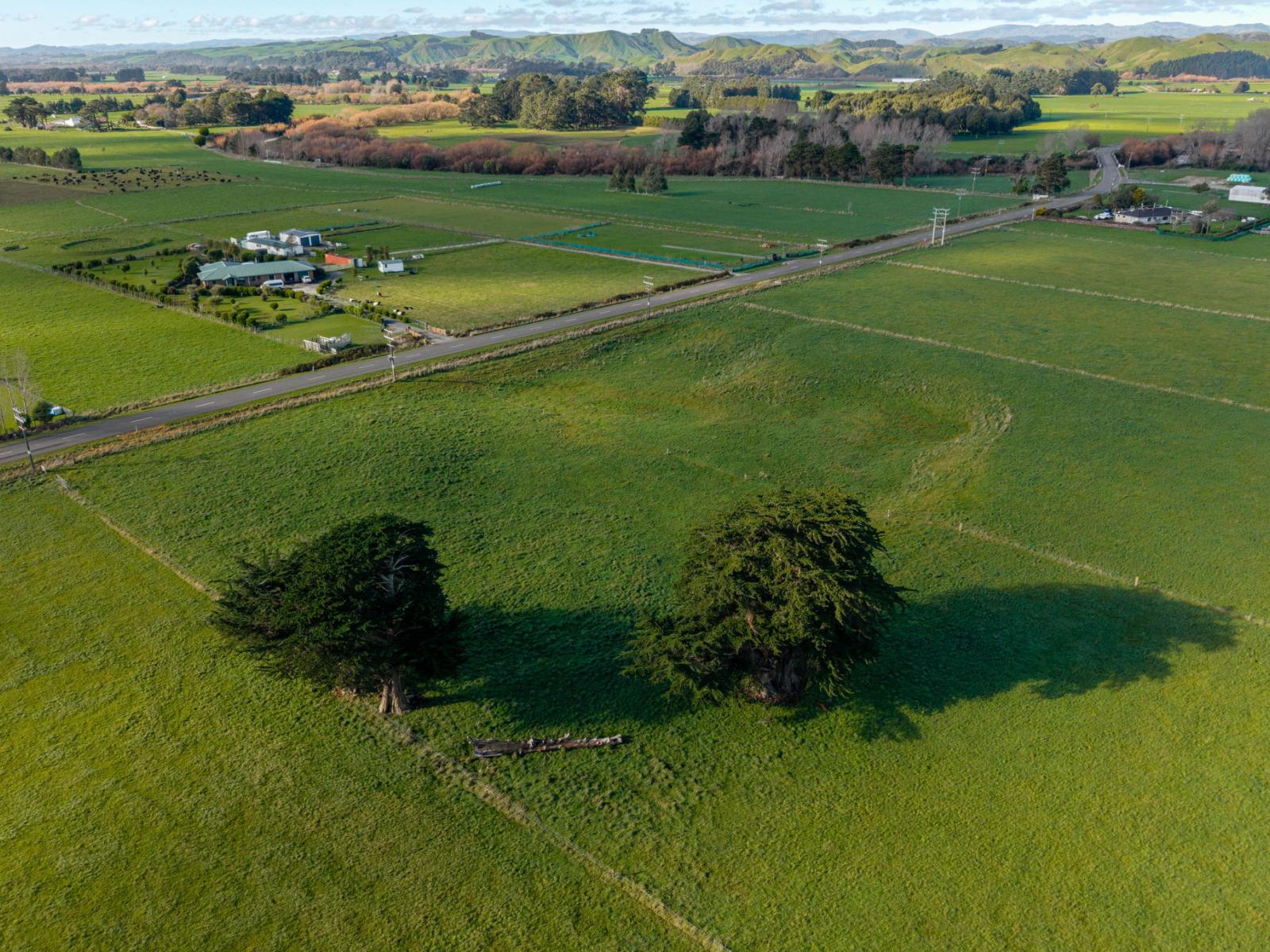 Tutaekara Road, Pahiatua