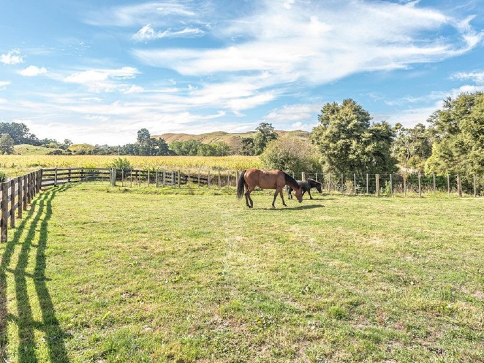 1597 Turakina Valley Road, Marton