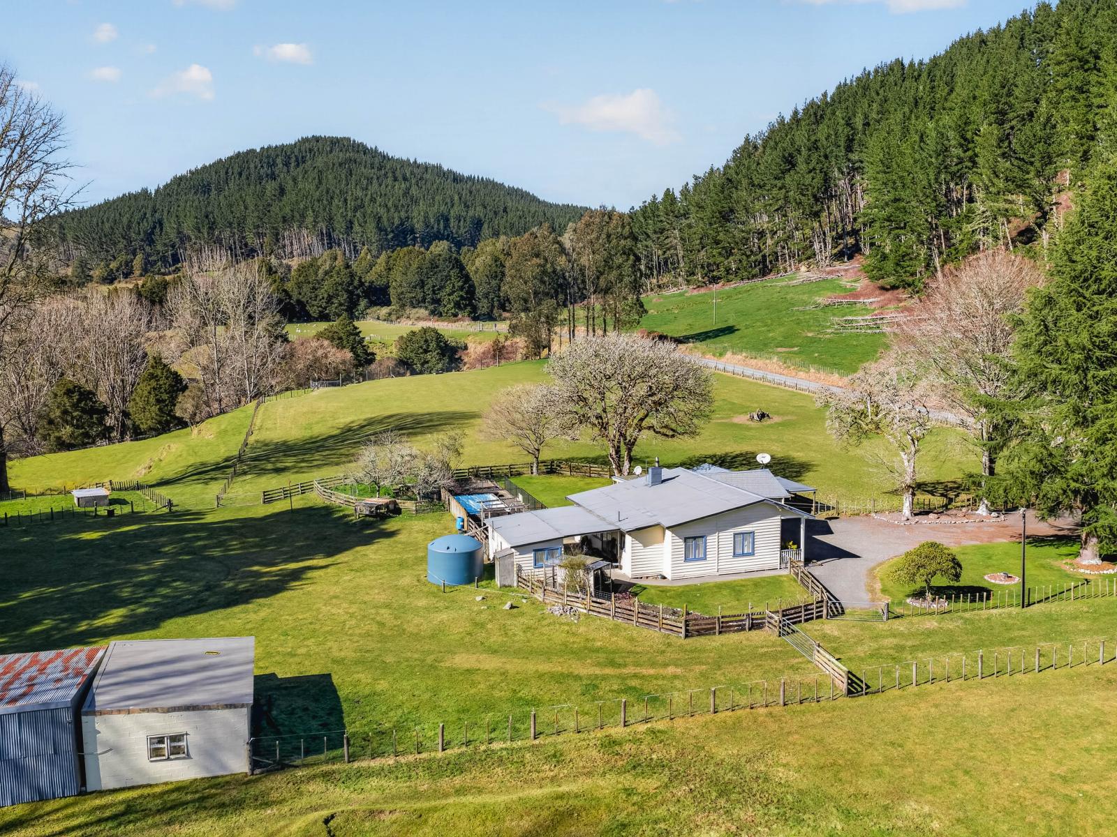 1513 Hikumutu Road, Taumarunui