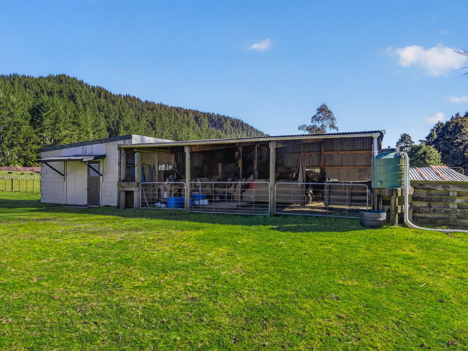 1513 Hikumutu Road, Taumarunui