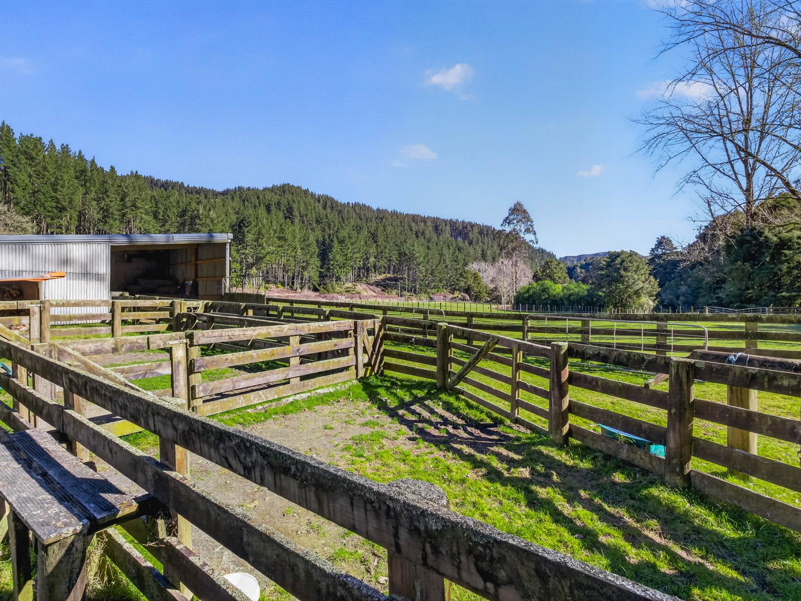 1513 Hikumutu Road, Taumarunui
