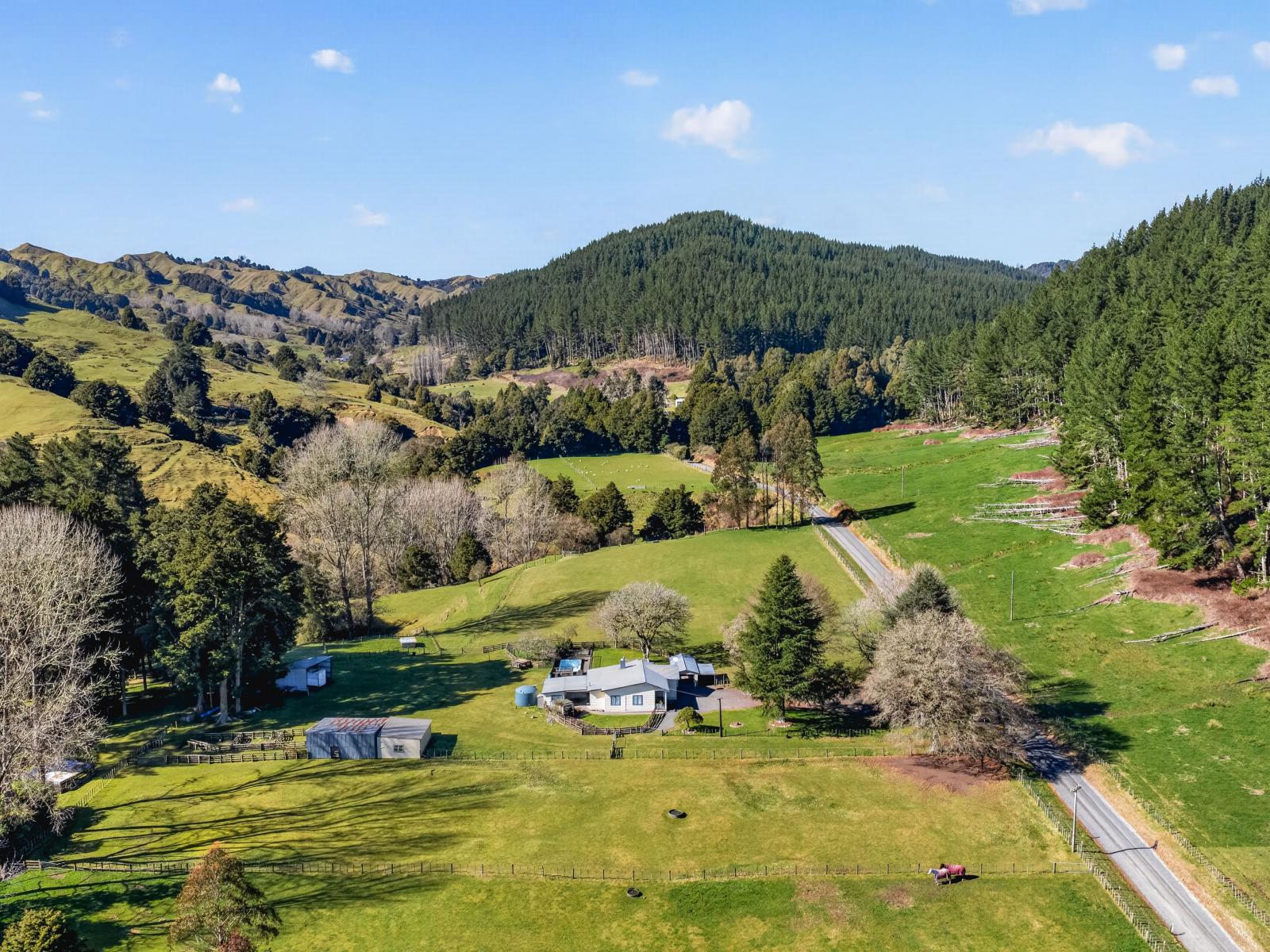1513 Hikumutu Road, Taumarunui