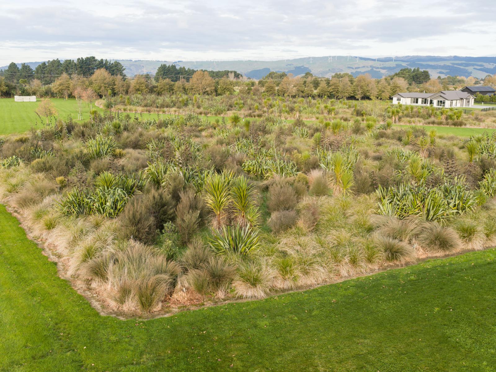 64 Hartwell Drive, Kelvin Grove