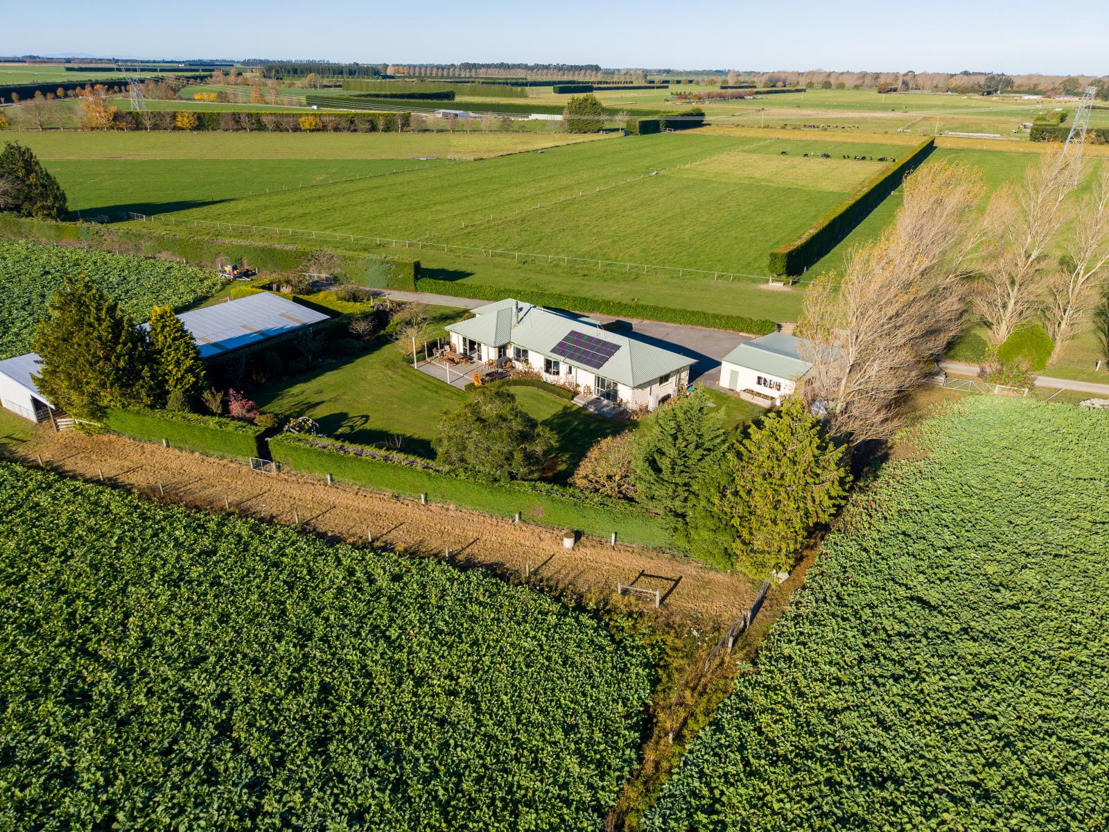 584 Methven Highway , Winchmore