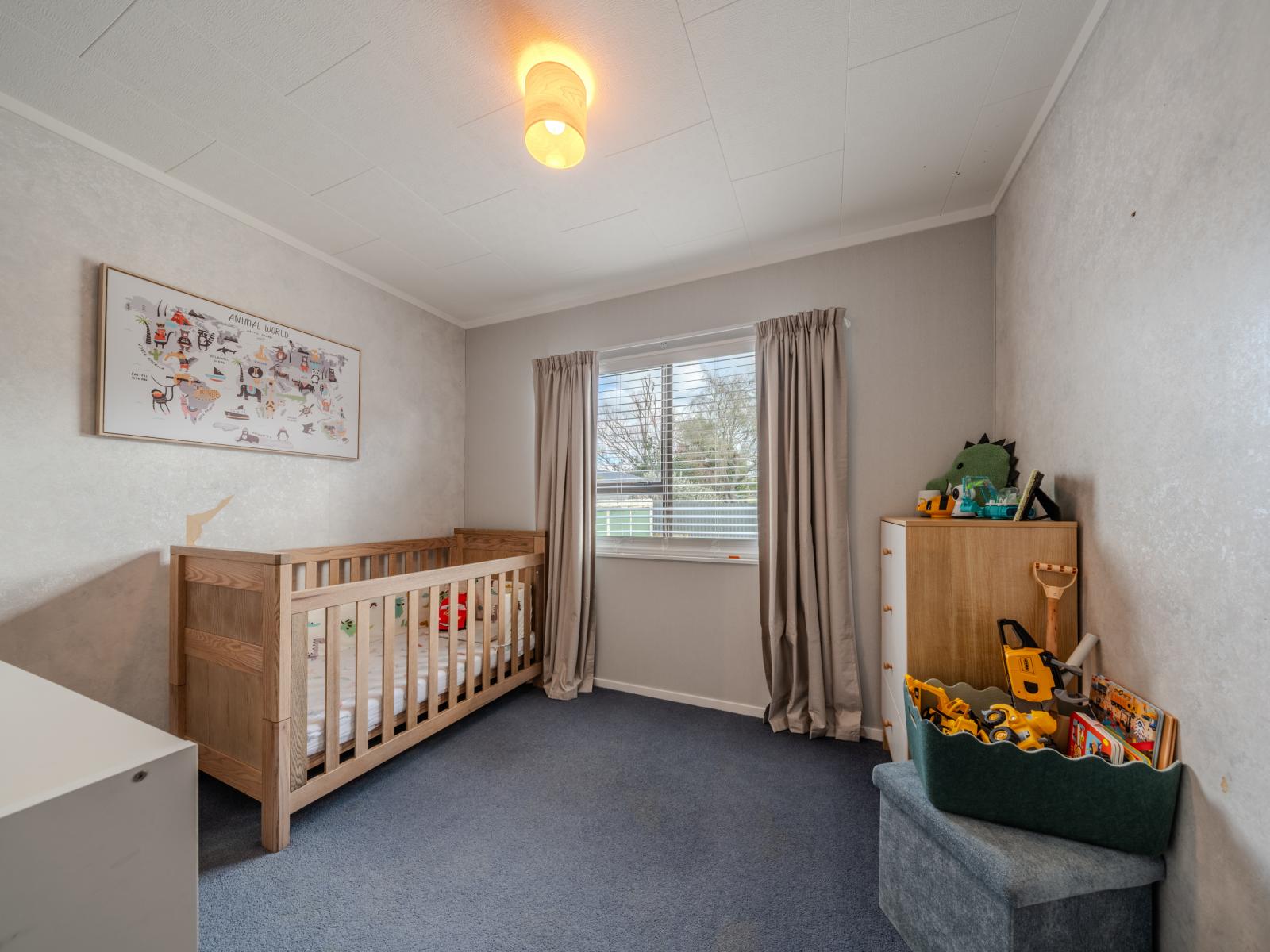 129 Mclean Street, Woodville