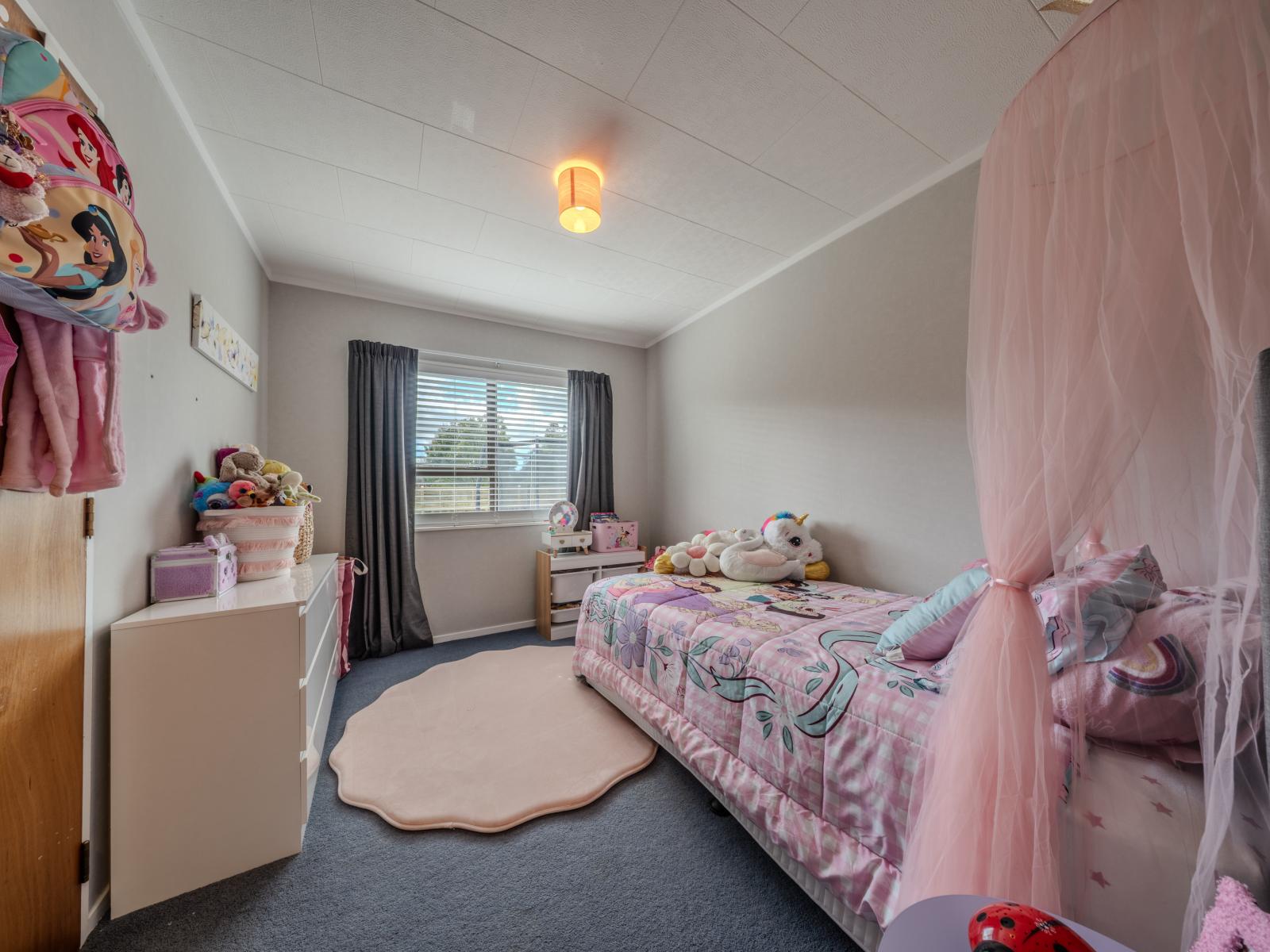 129 Mclean Street, Woodville
