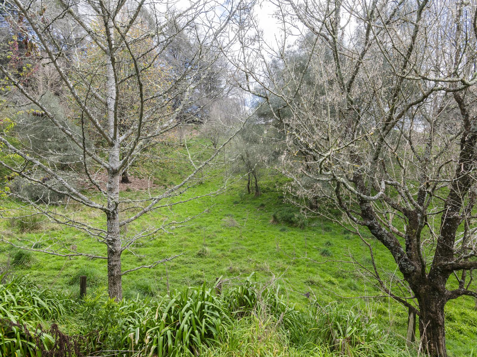 717 Totangi Road, Ngatapa