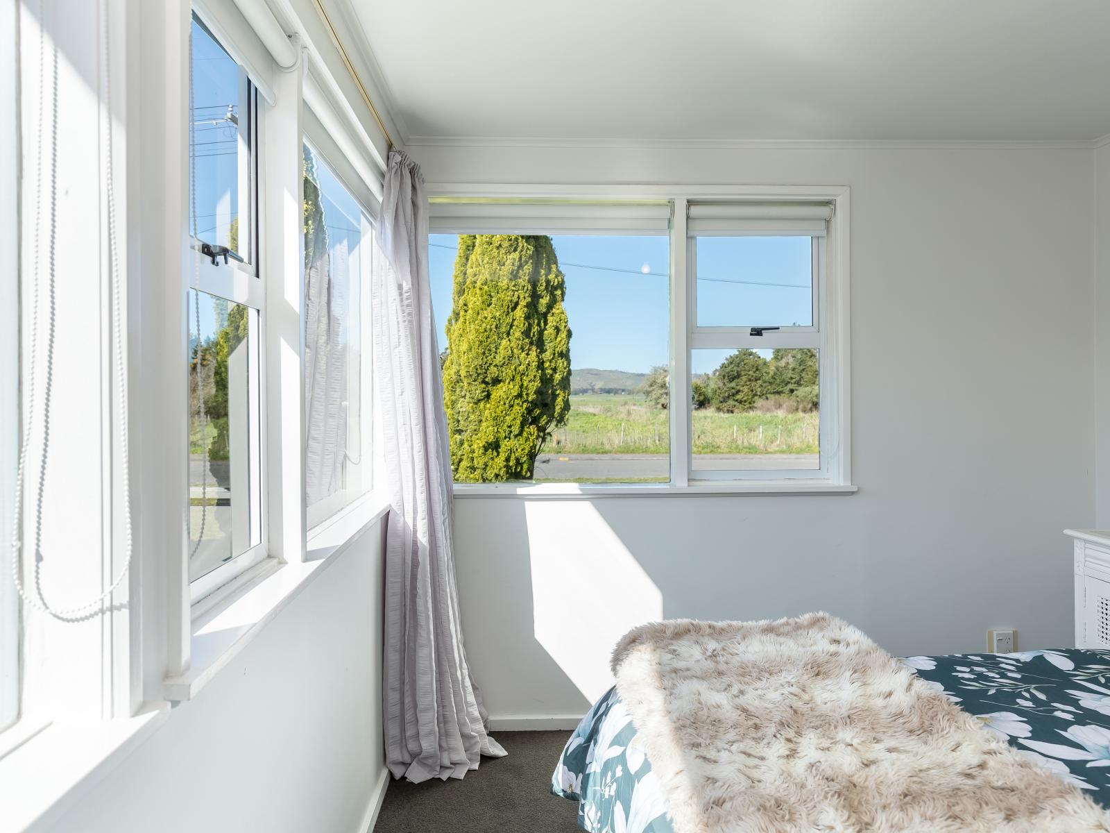 178 East Street, Greytown