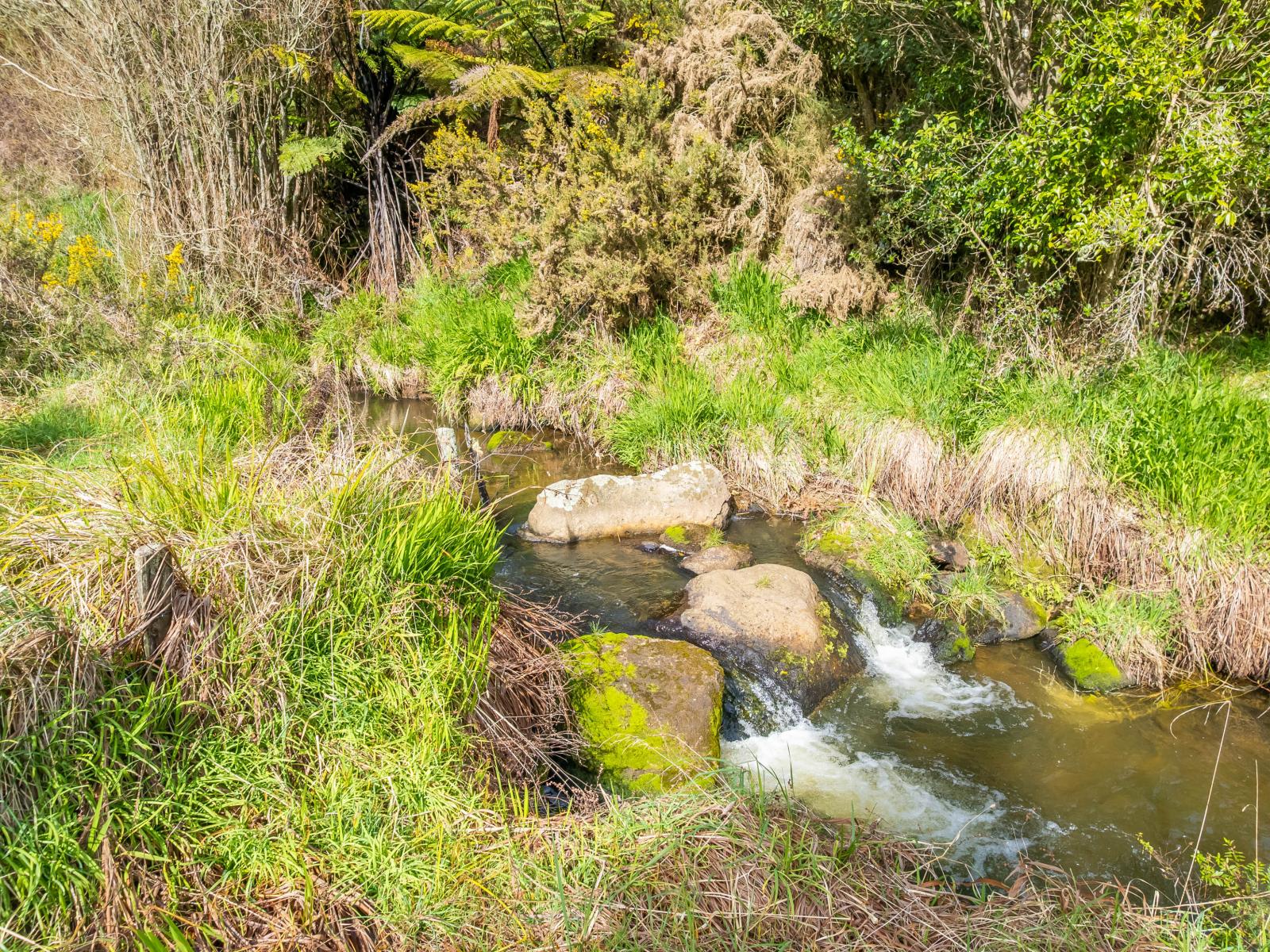 645 State Highway 30, Te Kuiti
