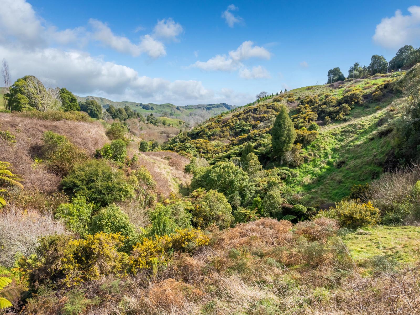 645 State Highway 30, Te Kuiti