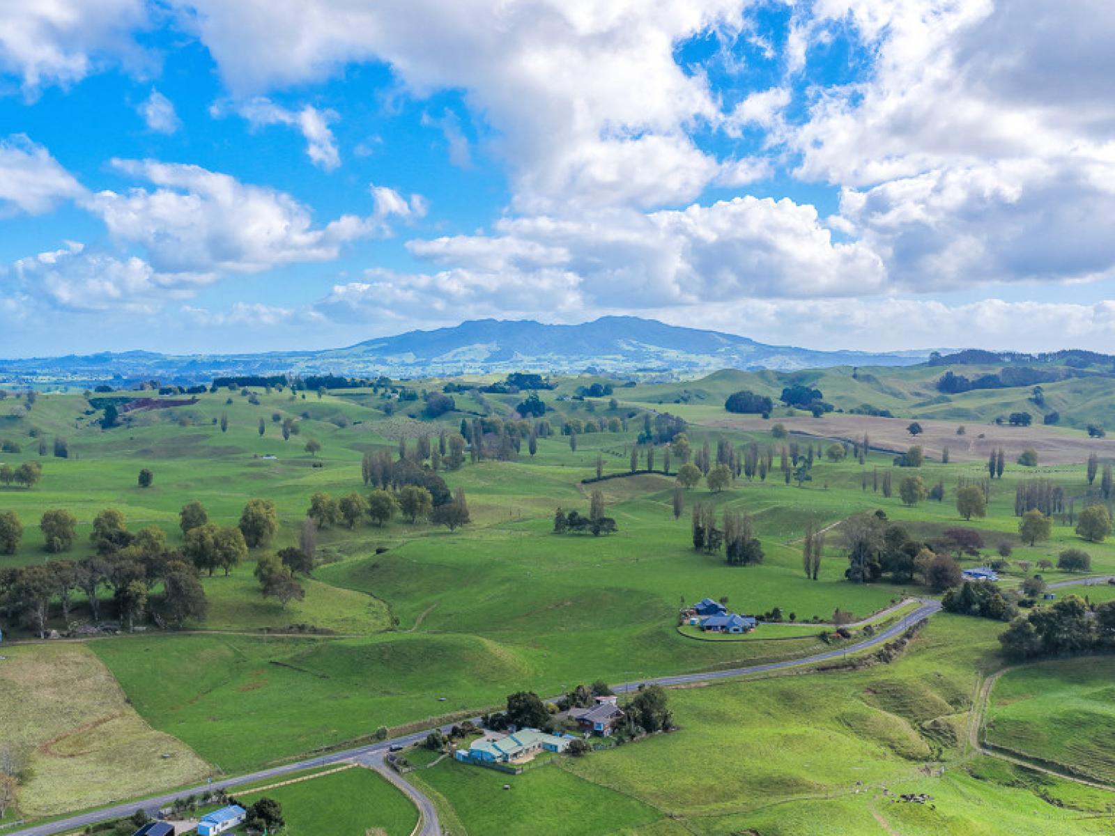 94 Overdale Road, Putaruru