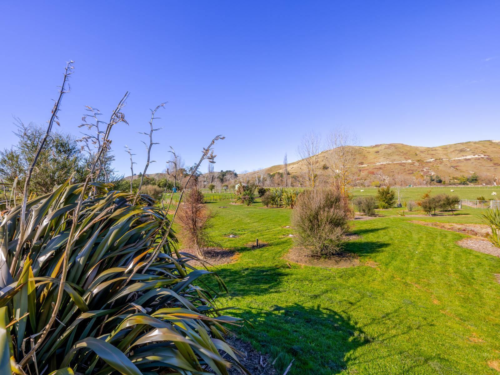 40 River Road, Otane