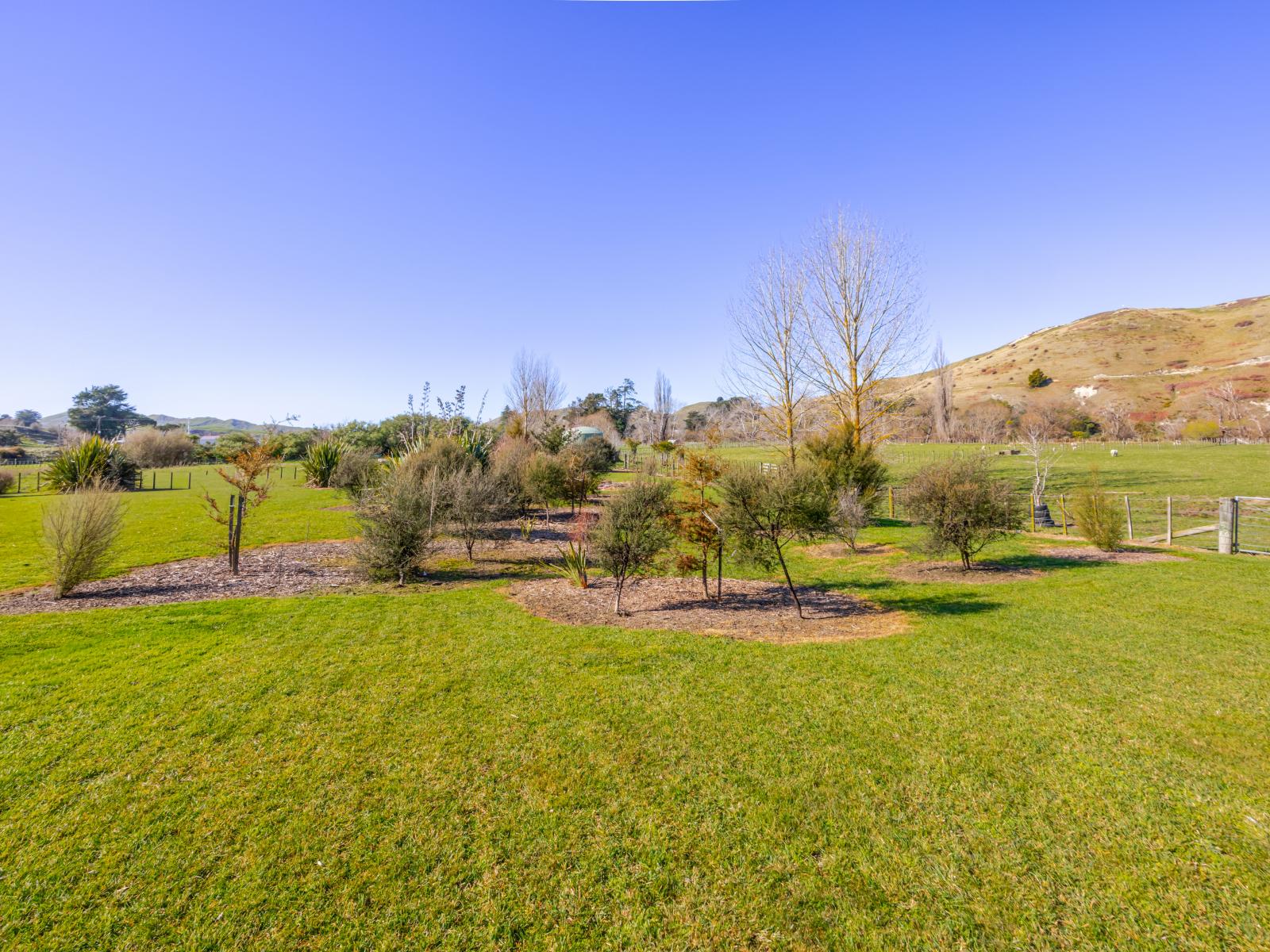40 River Road, Otane