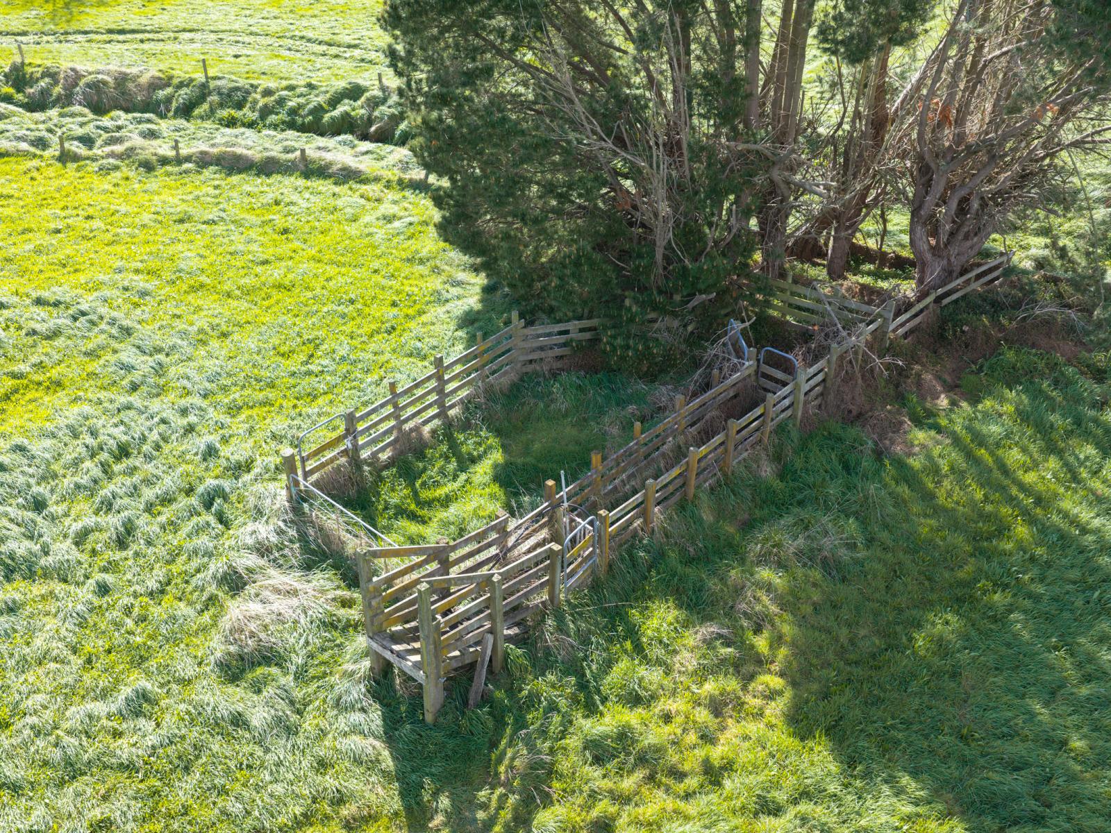 1351 Rongotea Road, Kairanga